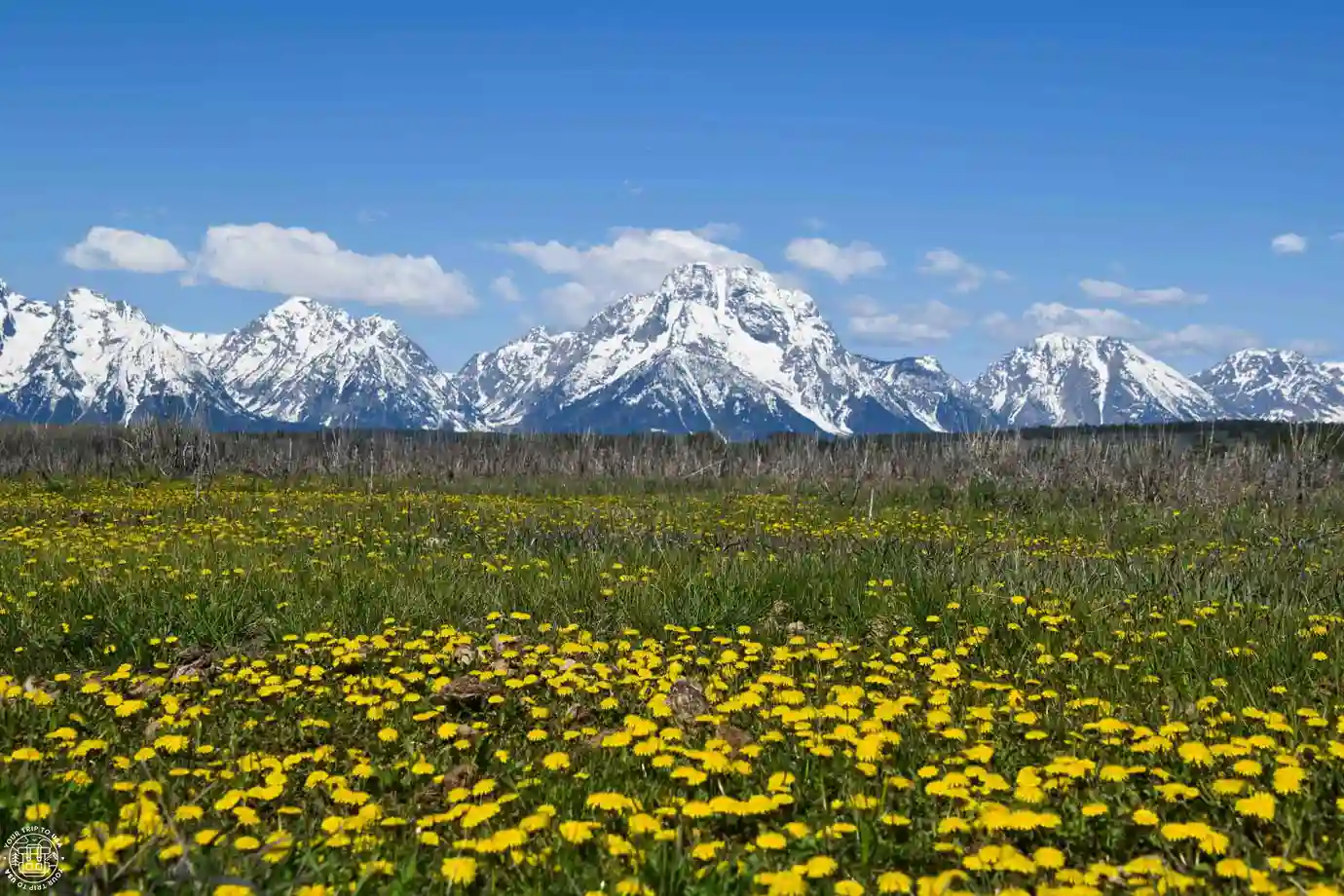Primavera en Grand Teton, Wyoming