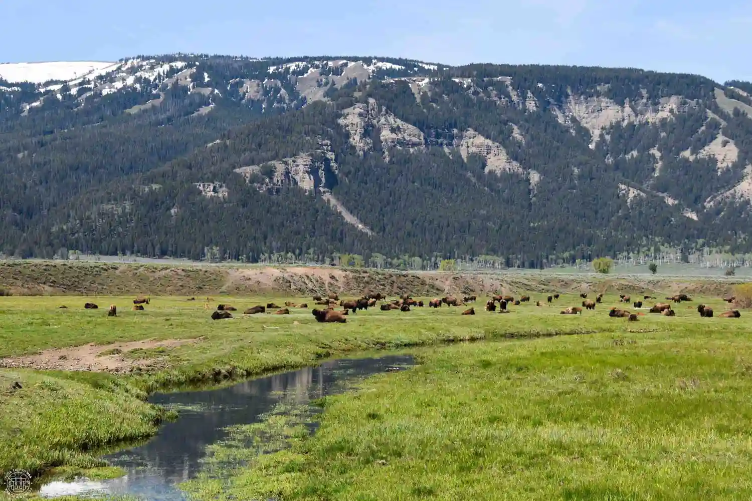 Lamar Valley, Yellowstone National Park