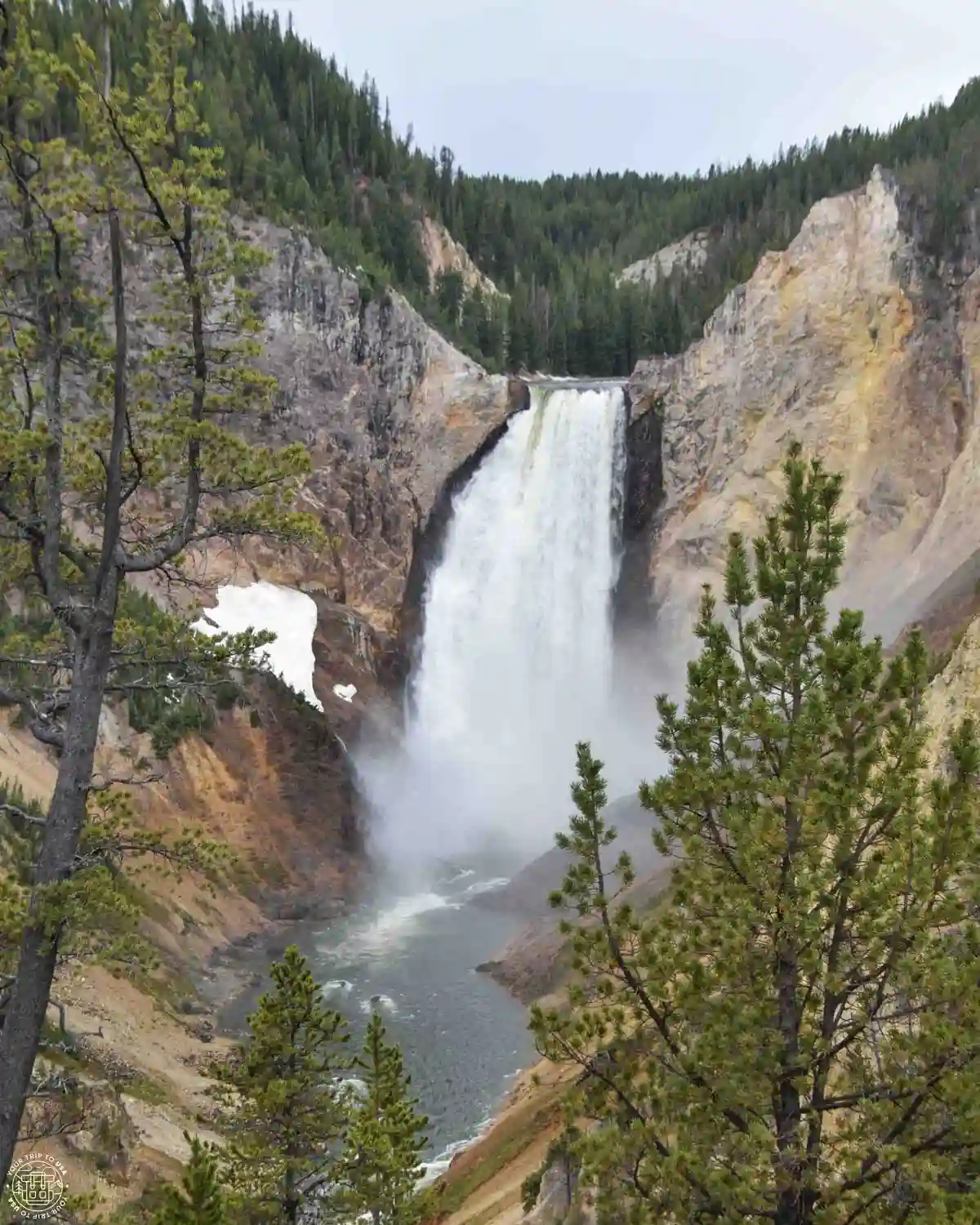 Lower Falls, Grand Canyon of the Yellowstone