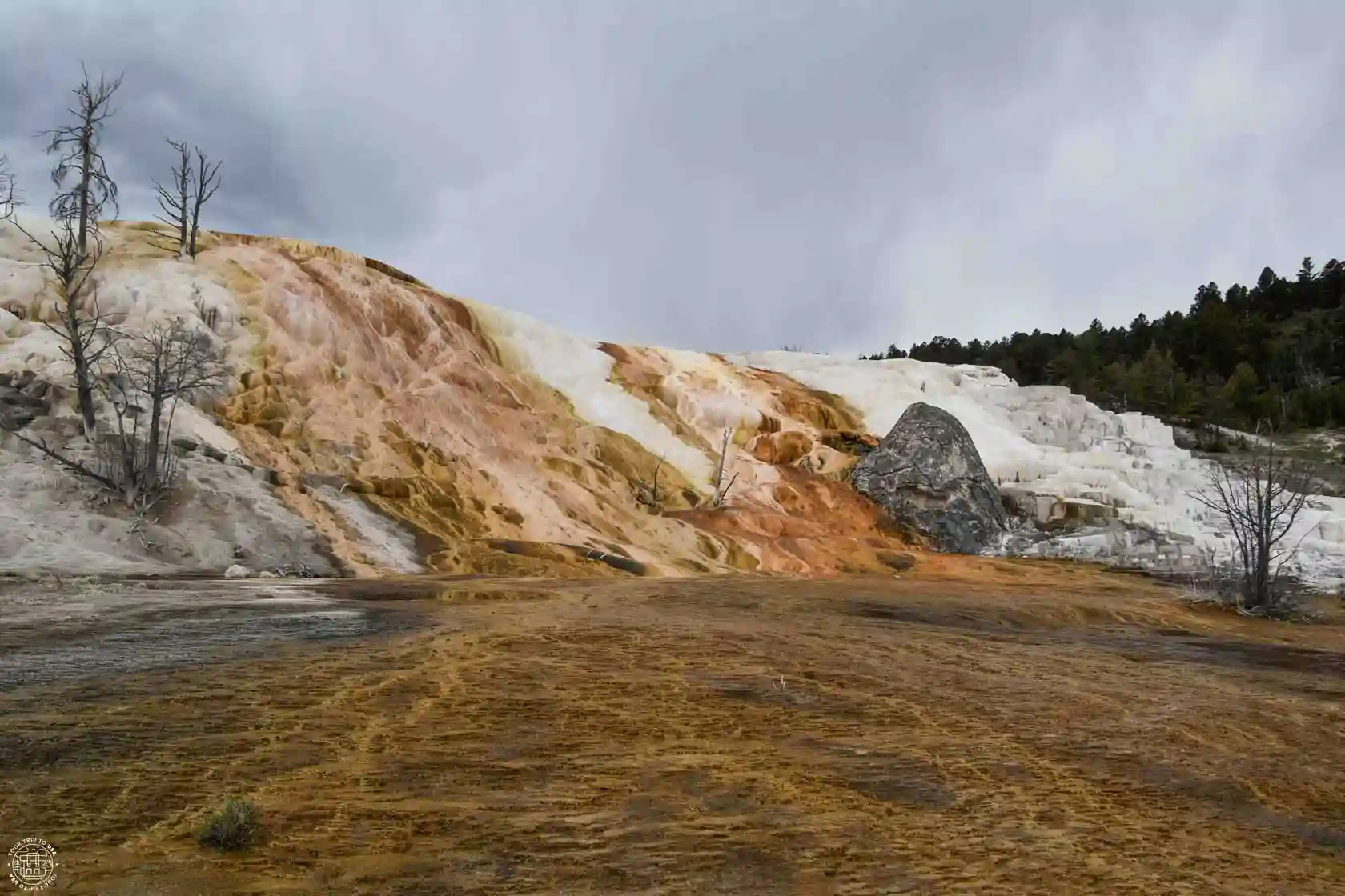 Mammoth Hot Springs, Yellowstone National Park