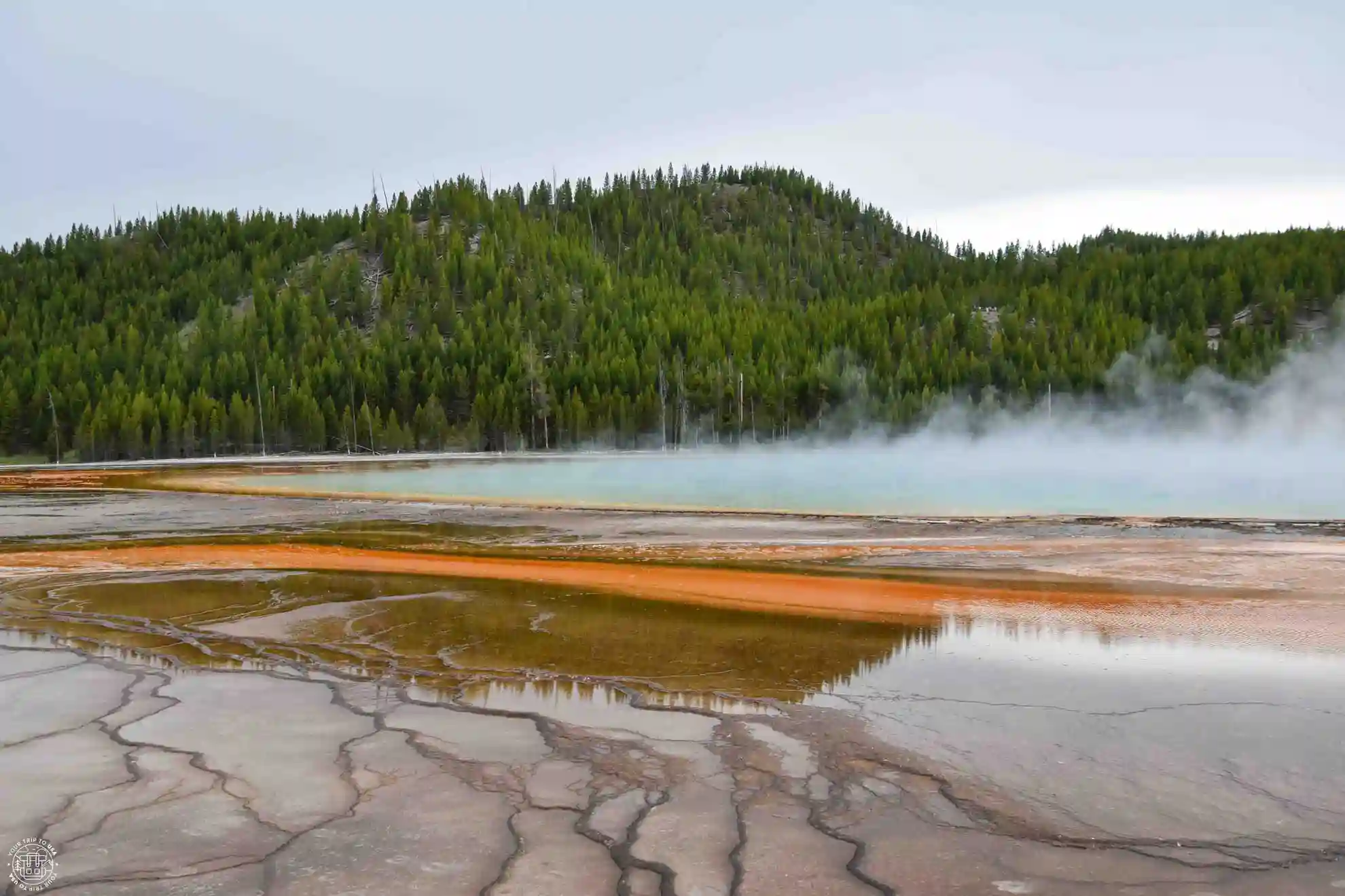 Midway Geyser Basin, Yellowstone National Park