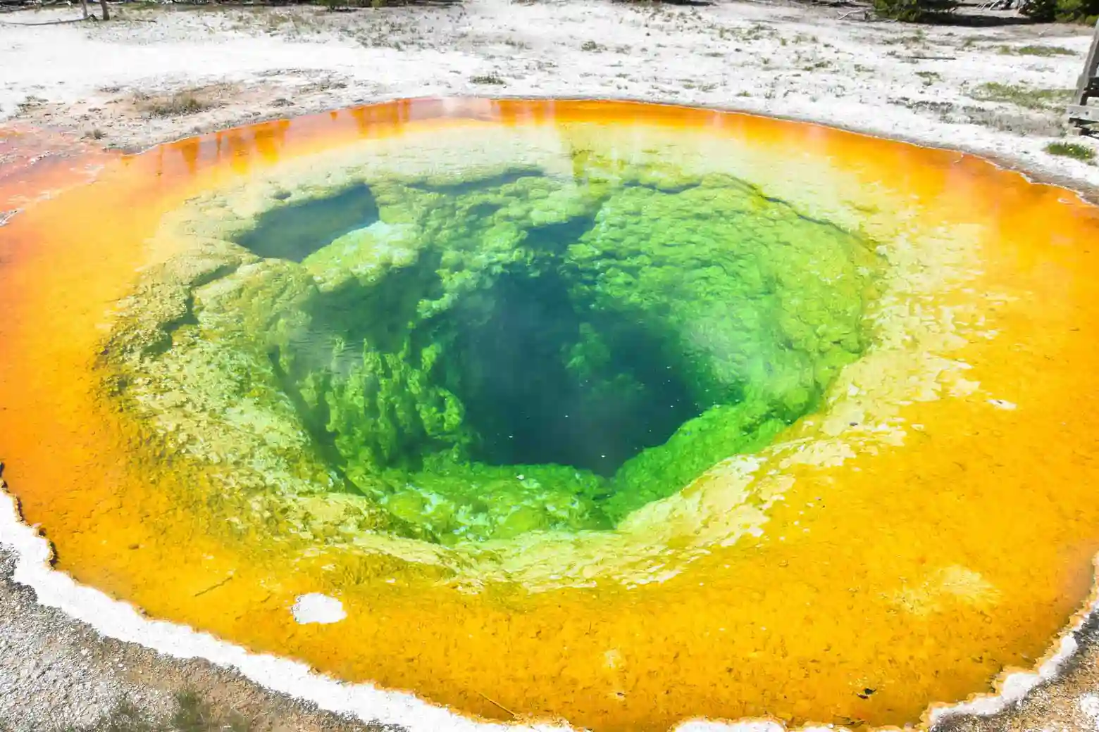 Qué ver en Yellowstone