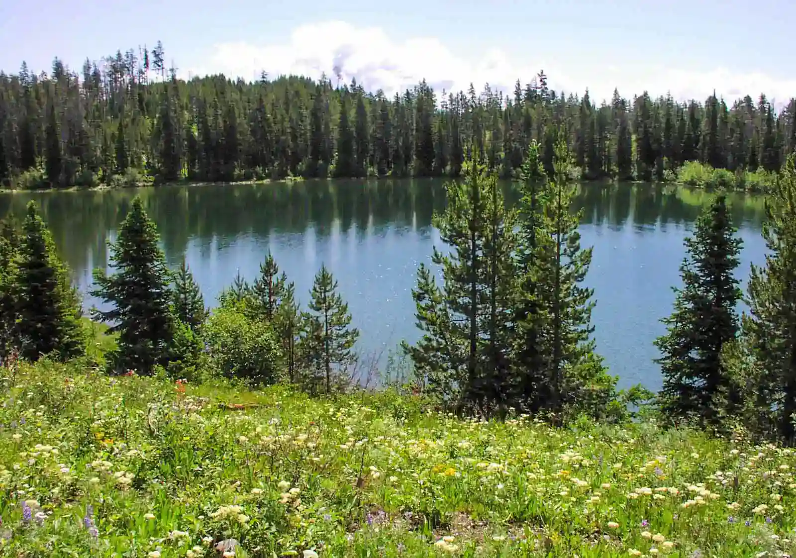 Bearpaw Lake, Grand Teton