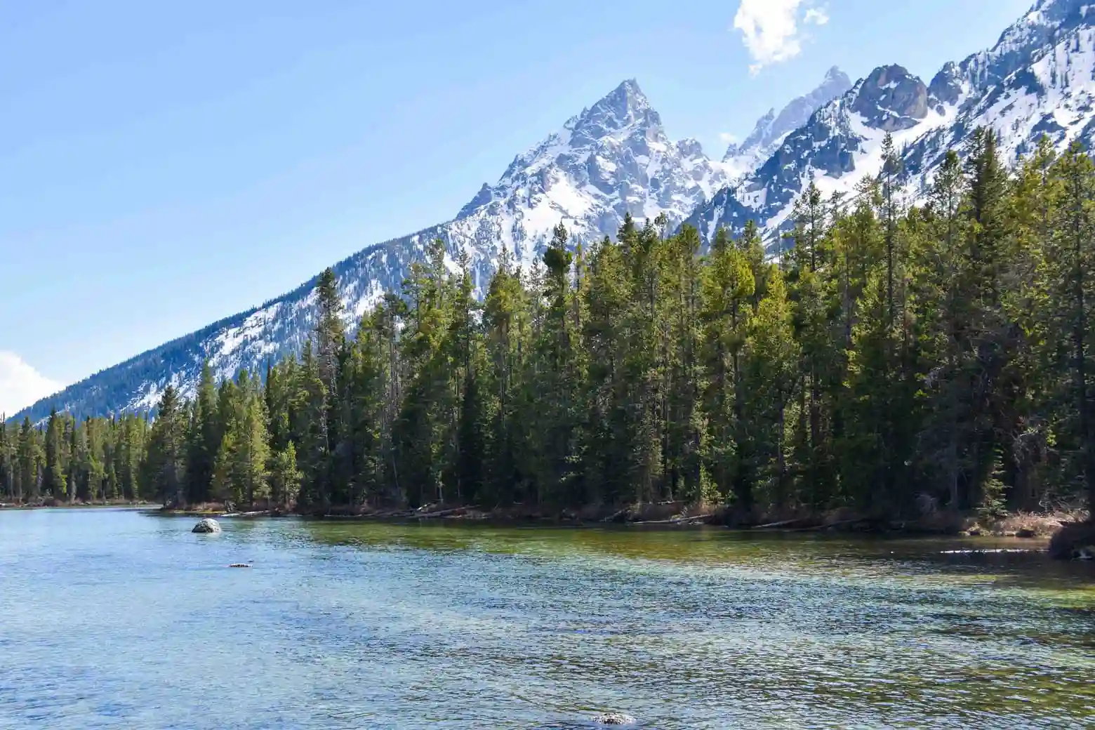 Best Hikes in Grand Teton National Park