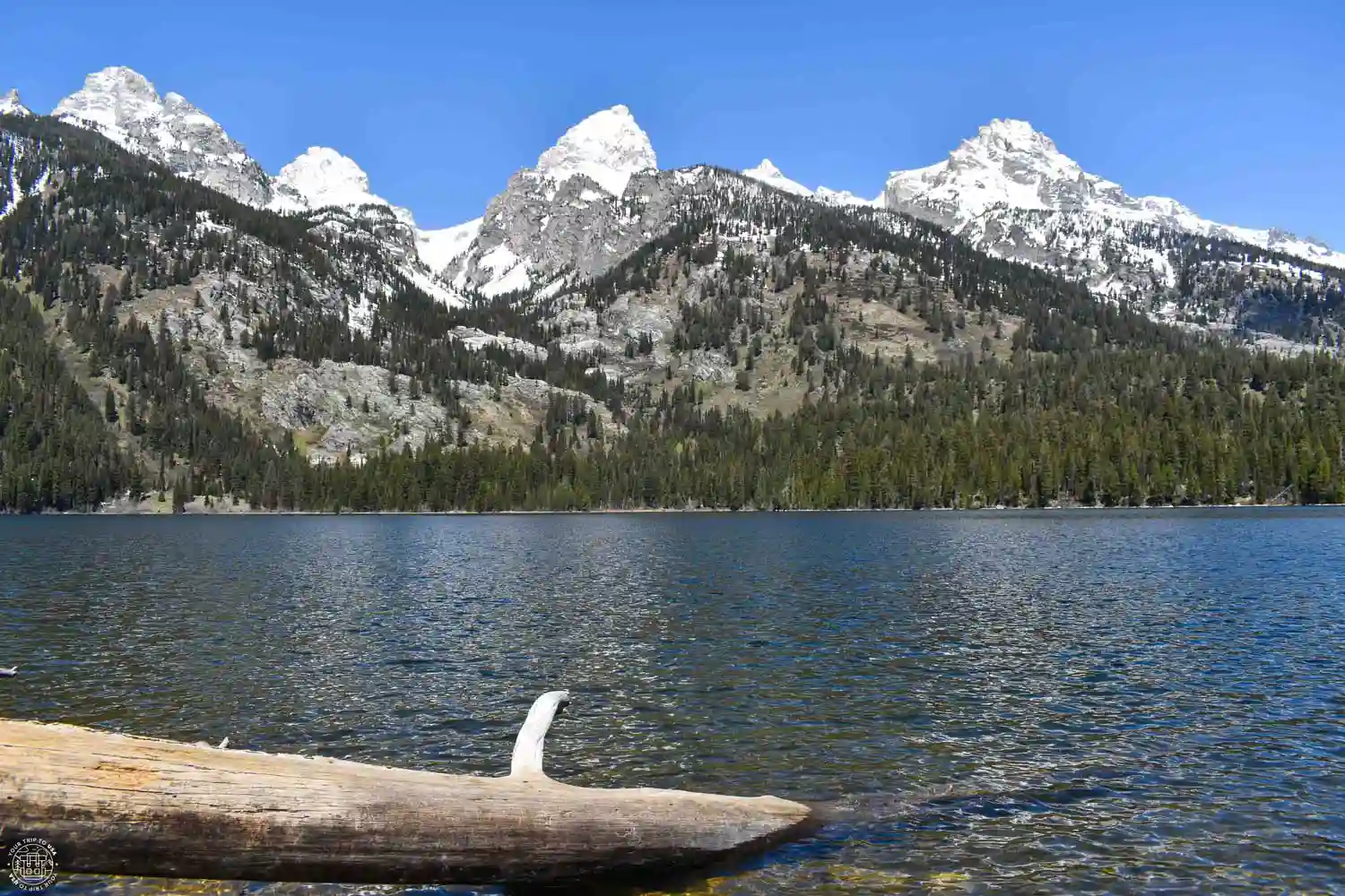 Bradley Lake, Grand Teton