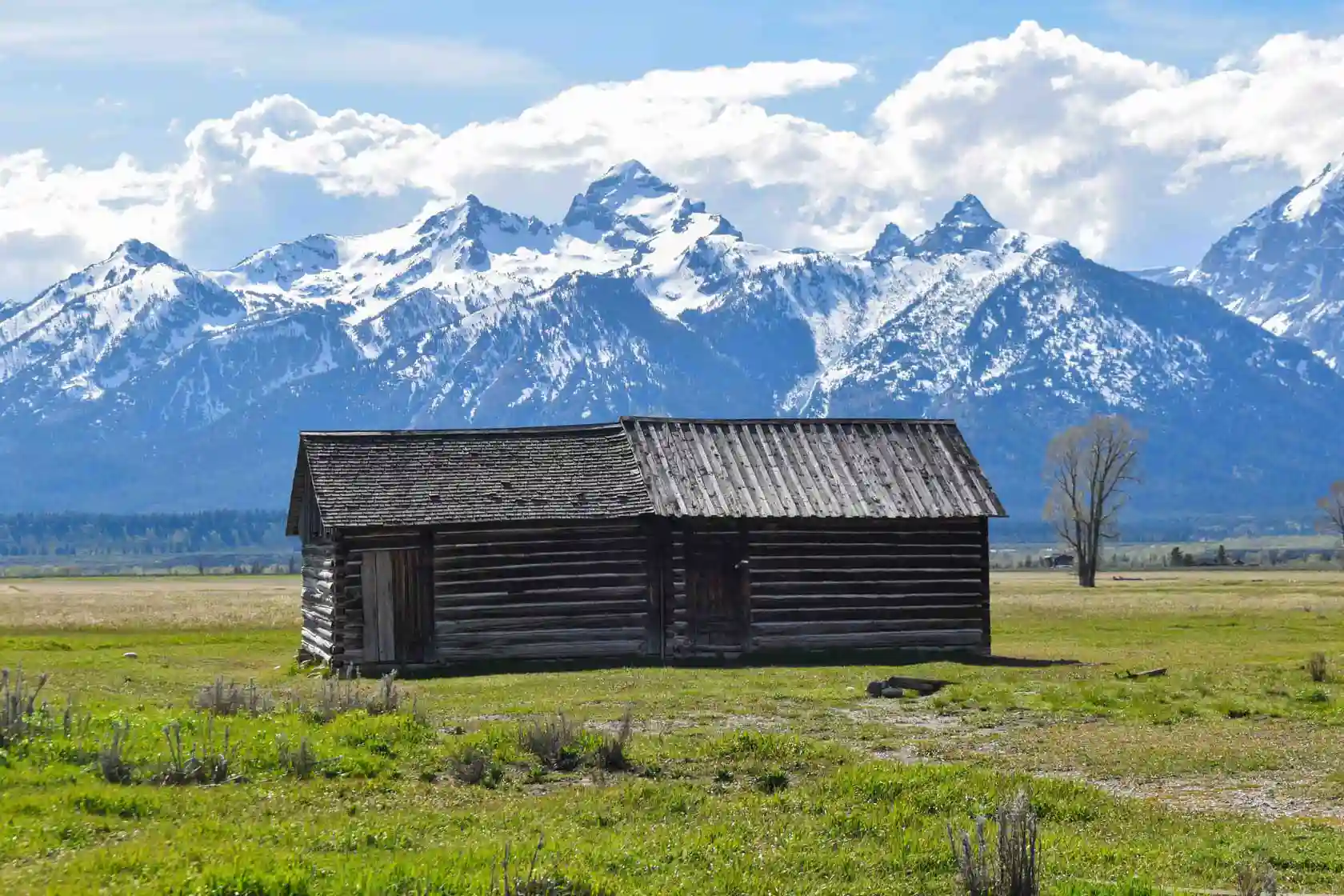 Dónde Alojarse en Grand Teton National Park