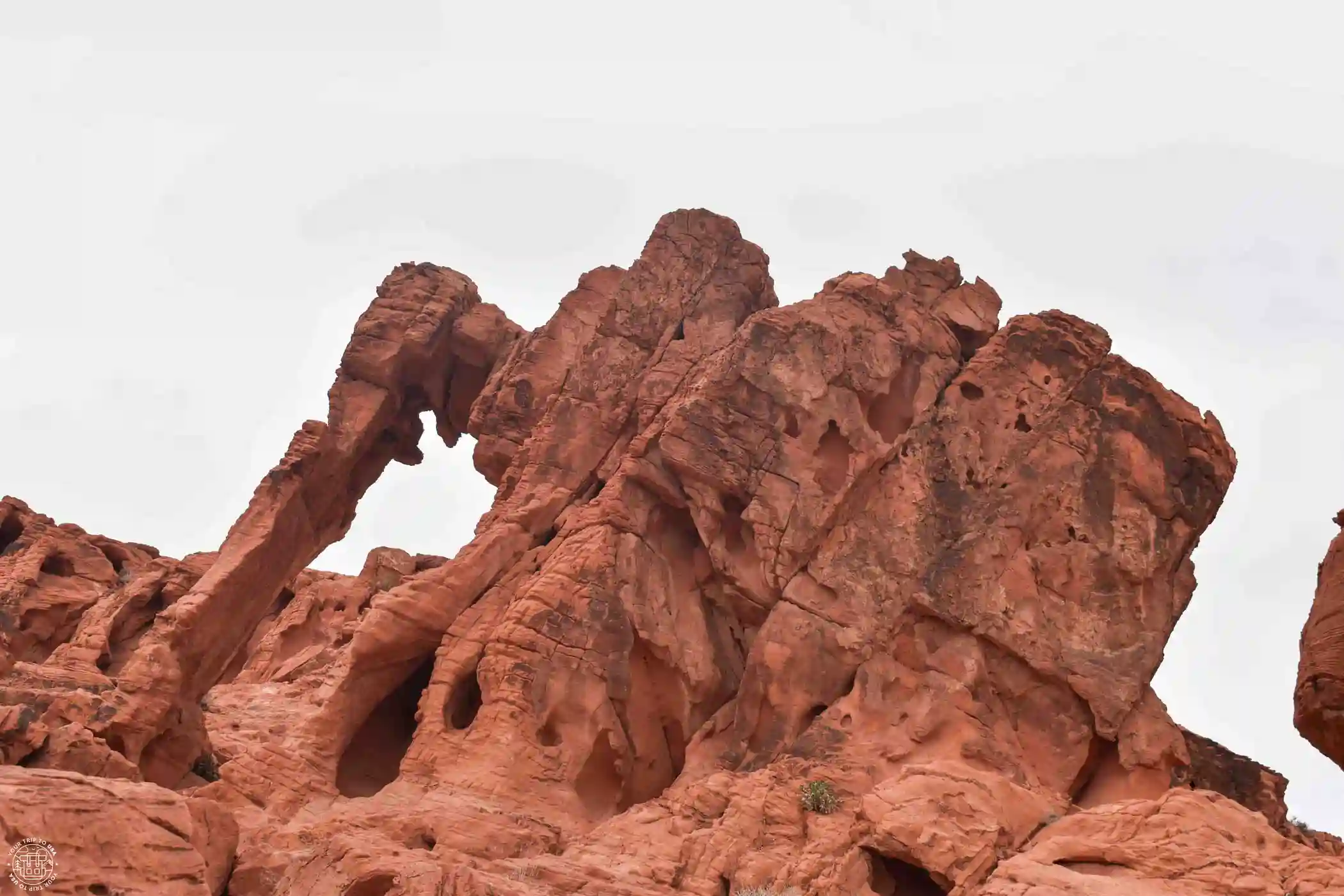 Elephant Rock, Valley of Fire