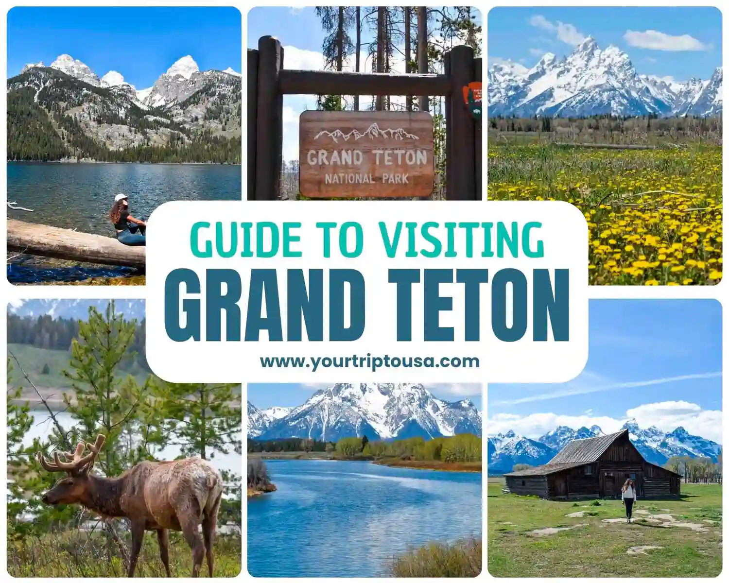 How to Visit Grand Teton National Park