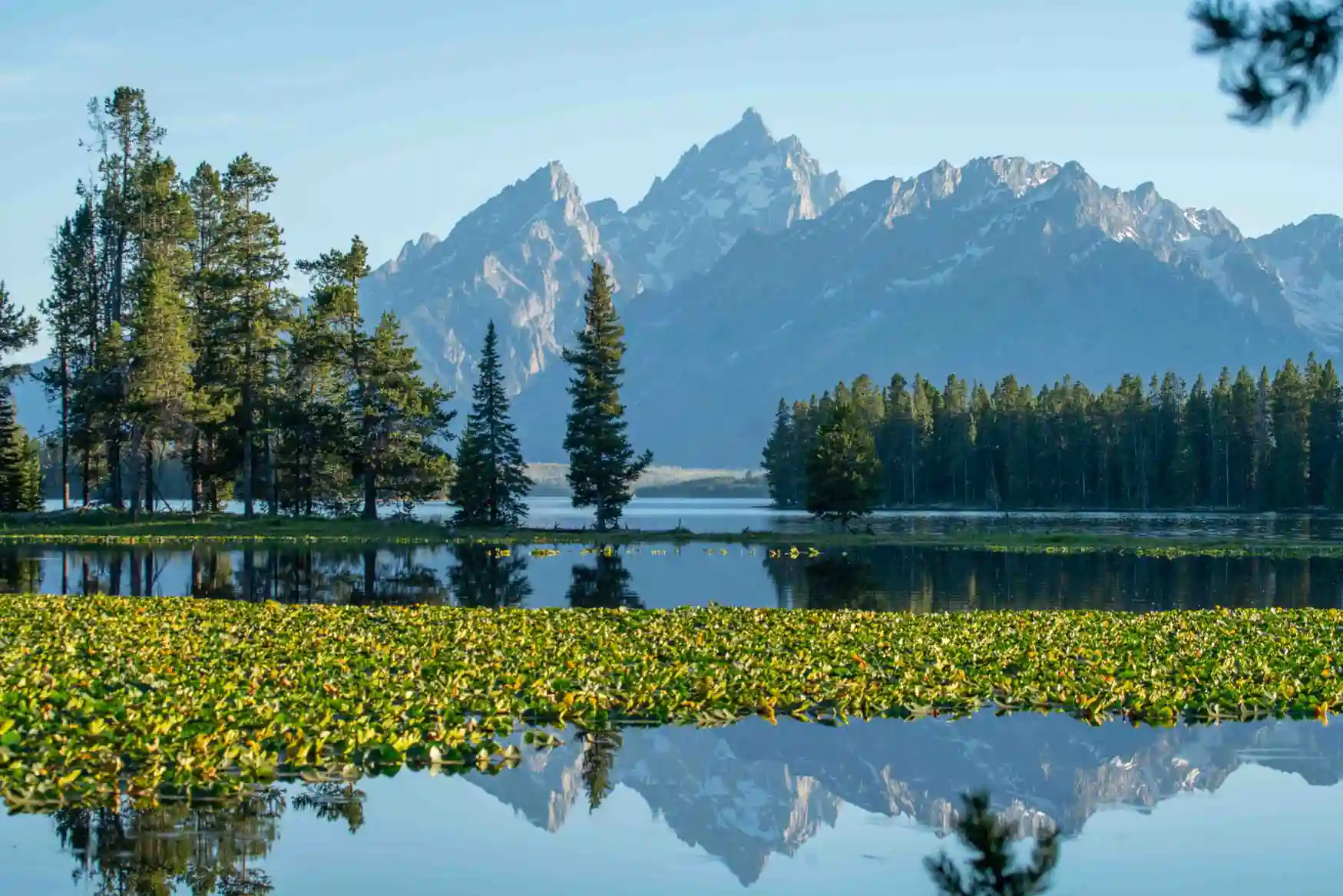 Heron Pond, Grand Teton