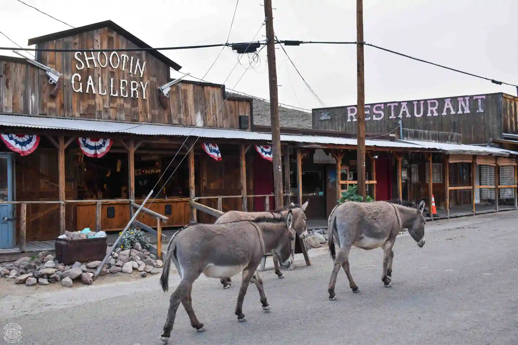 Oatman, Ruta 66 Arizona