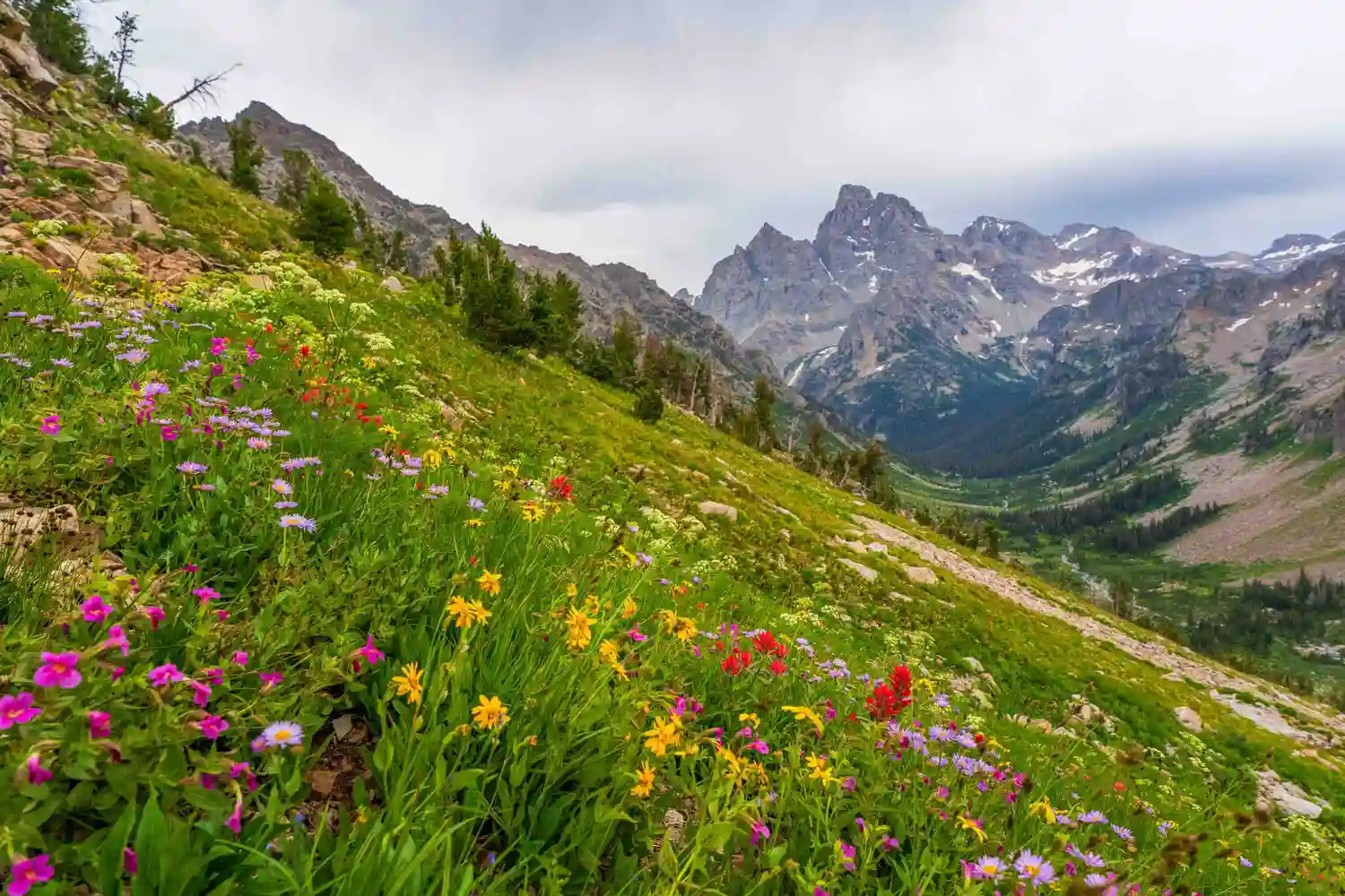 Paintbrush Divide, Grand Teton
