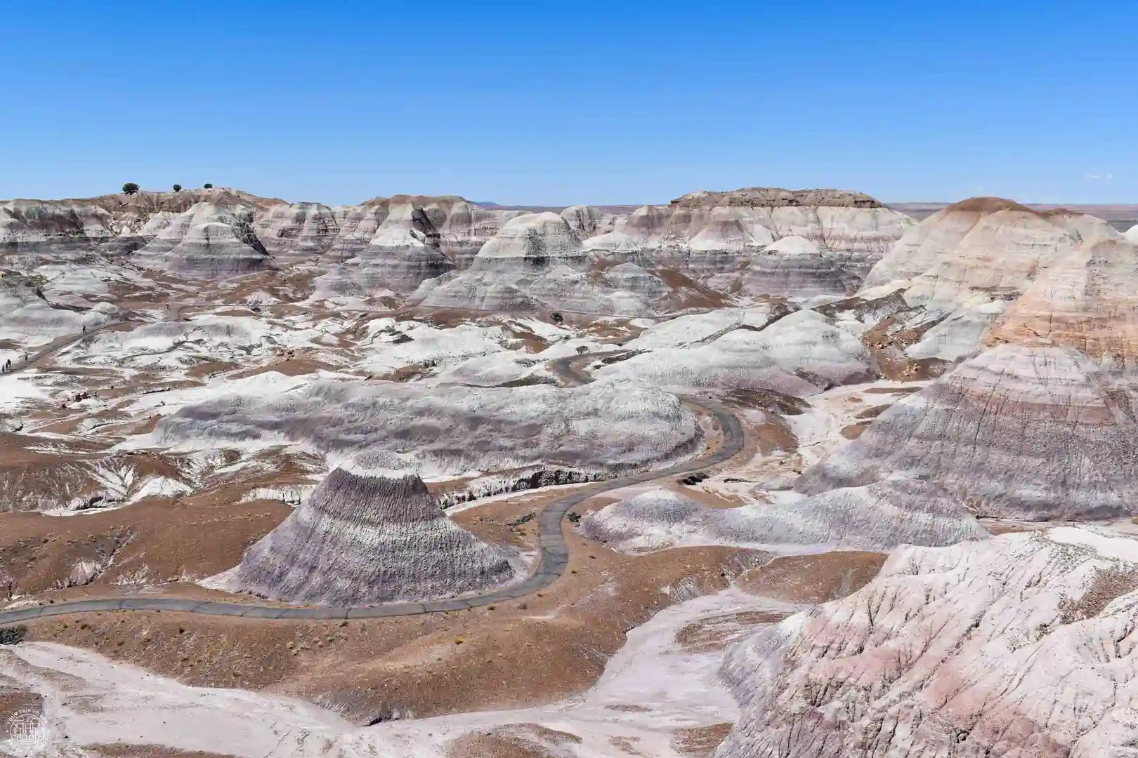 Petrified Forest National Park, Arizona