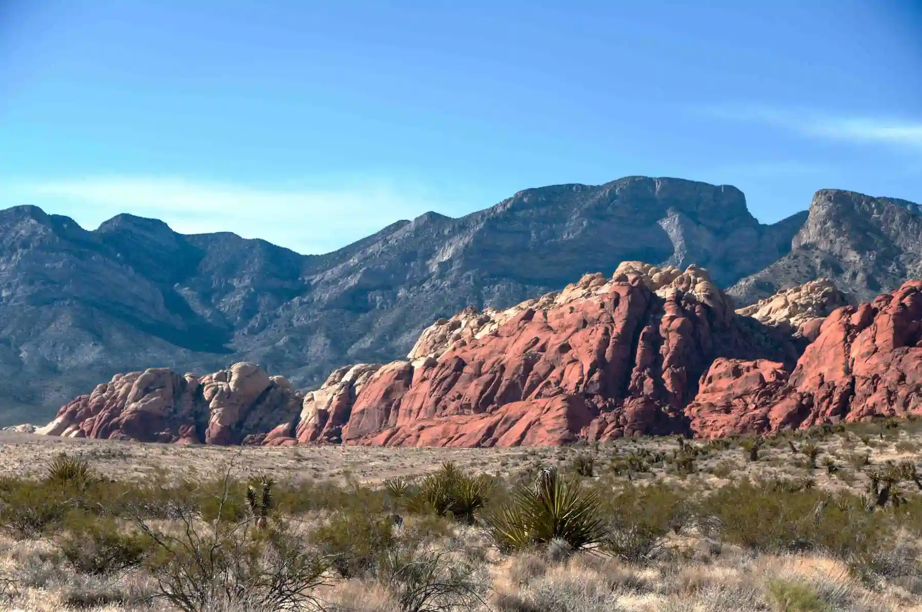 Red Rock Canyon, Las Vegas
