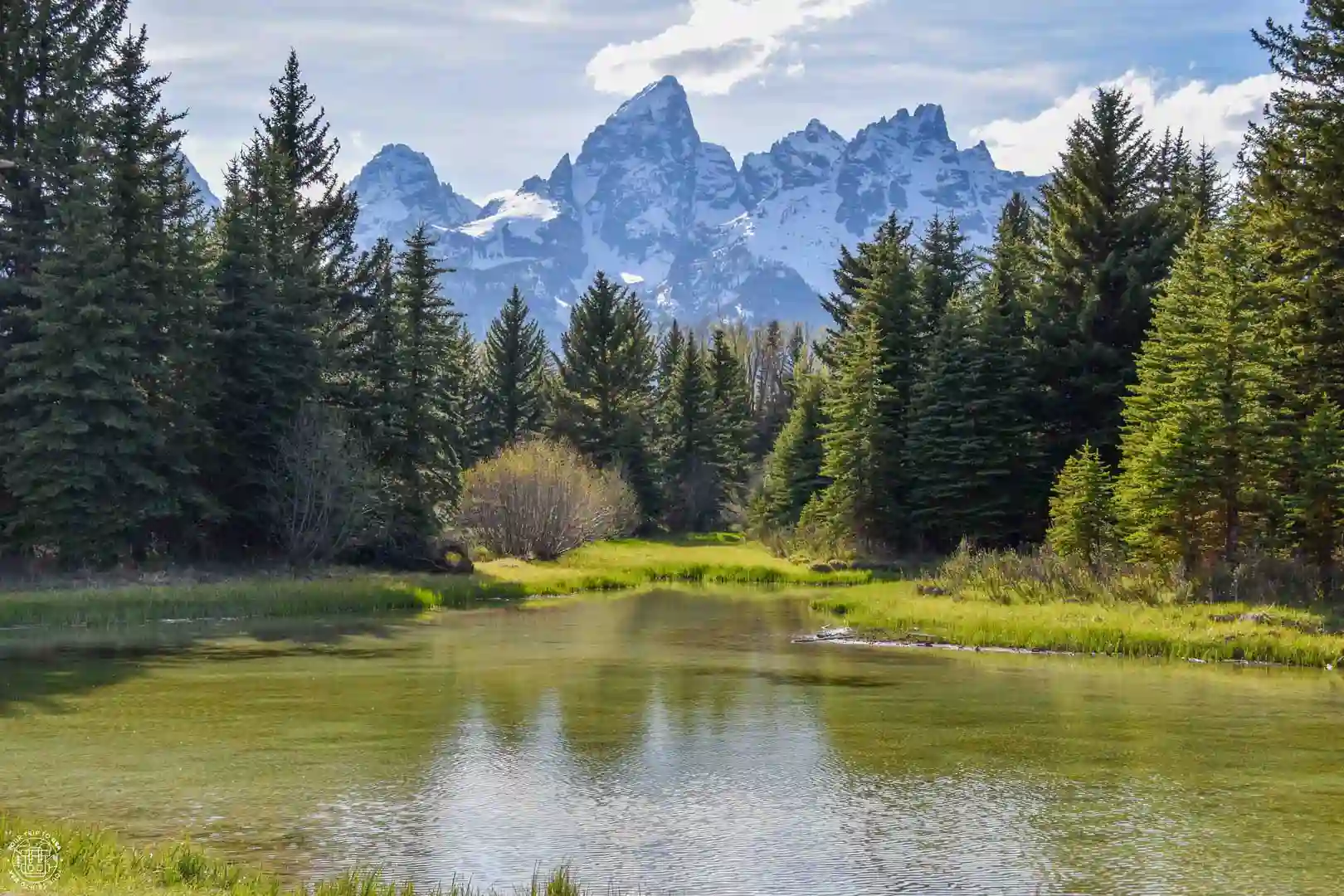 Schwabacher's Landing, Grand Teton