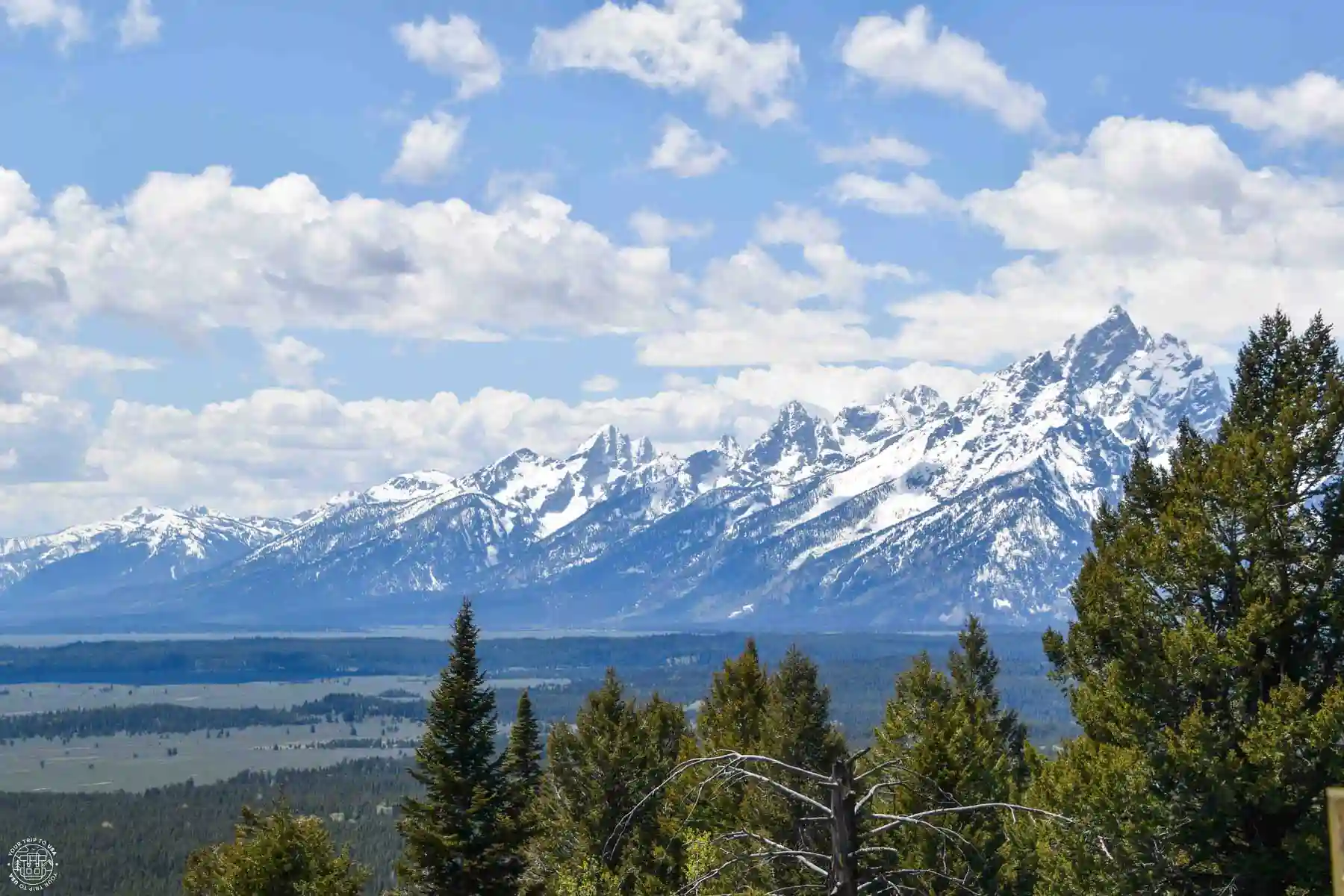 Signal Mountain, Grand Teton