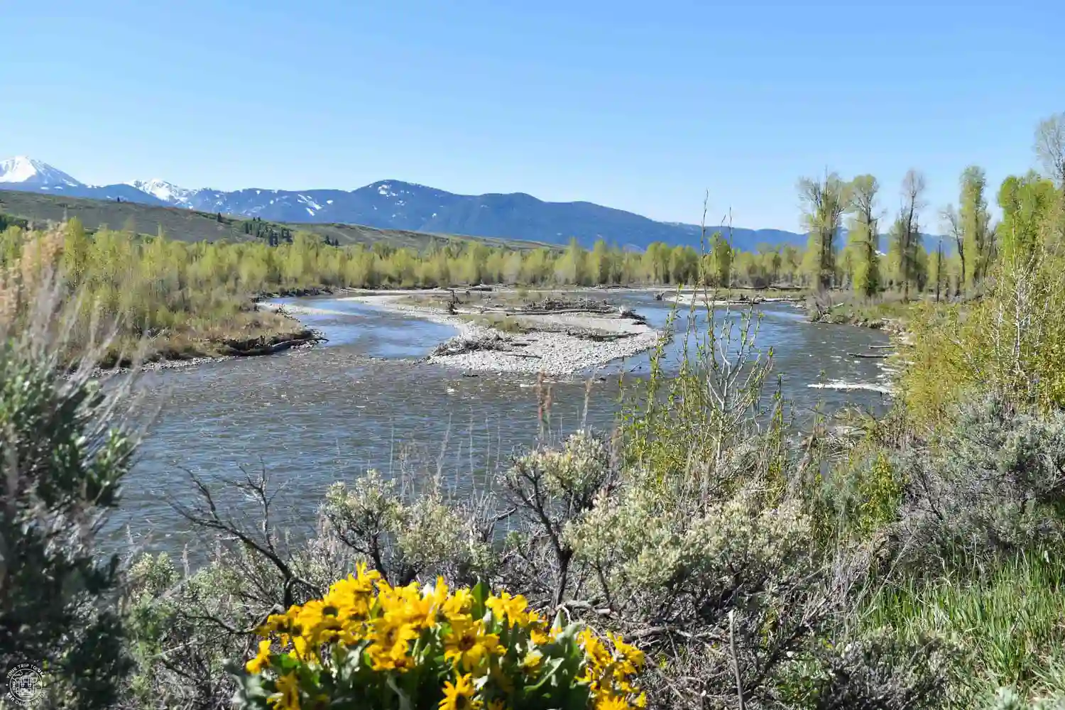 Snake River, Grand Teton National Park