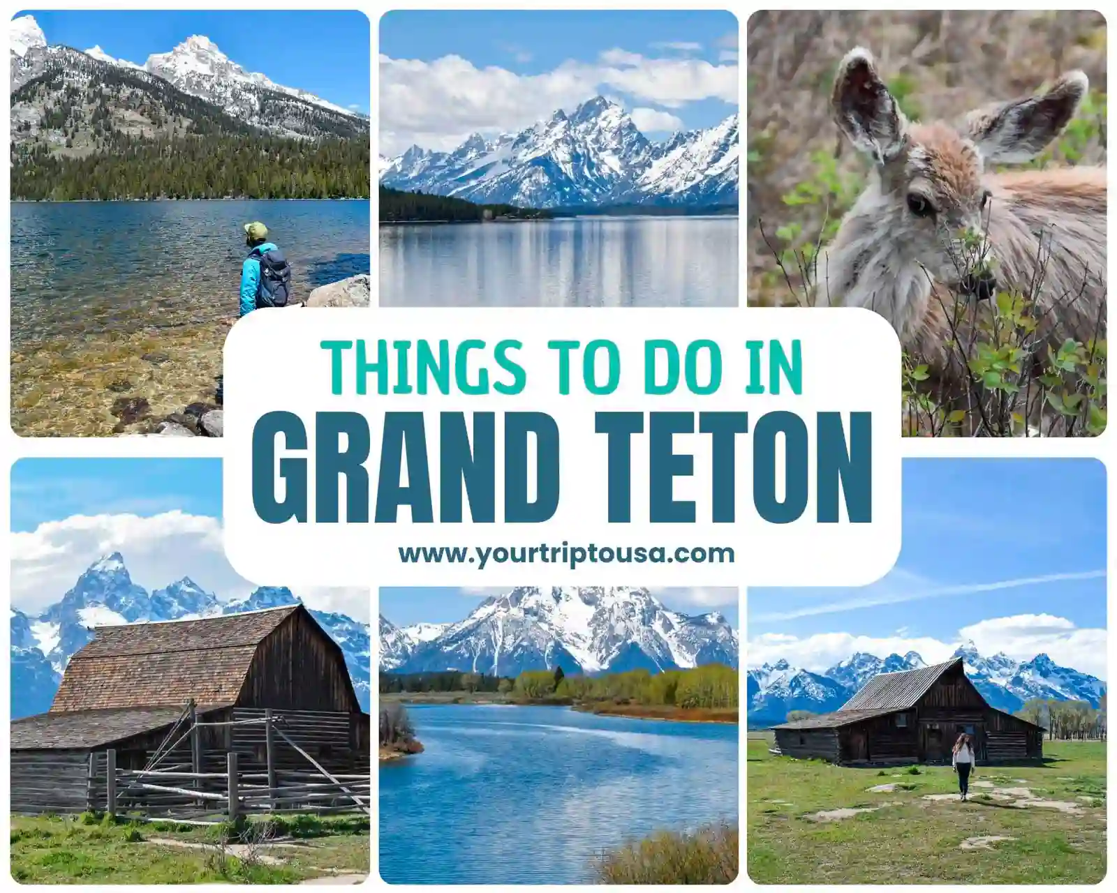 Things to Do in Grand Teton National Park