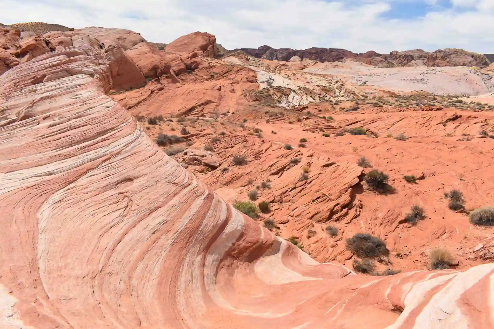 Ola petrificada en el Valley of Fire State Park
