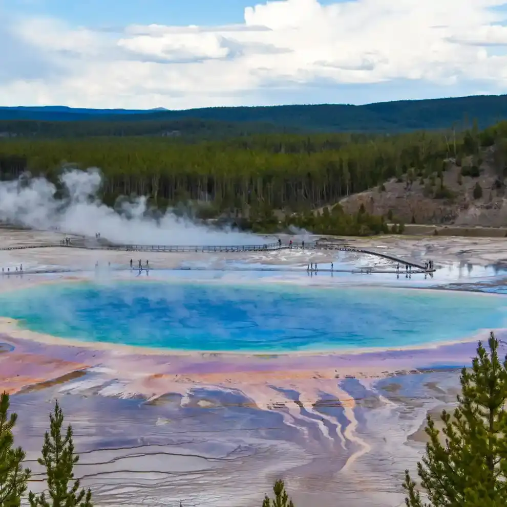 YELLOWSTONE