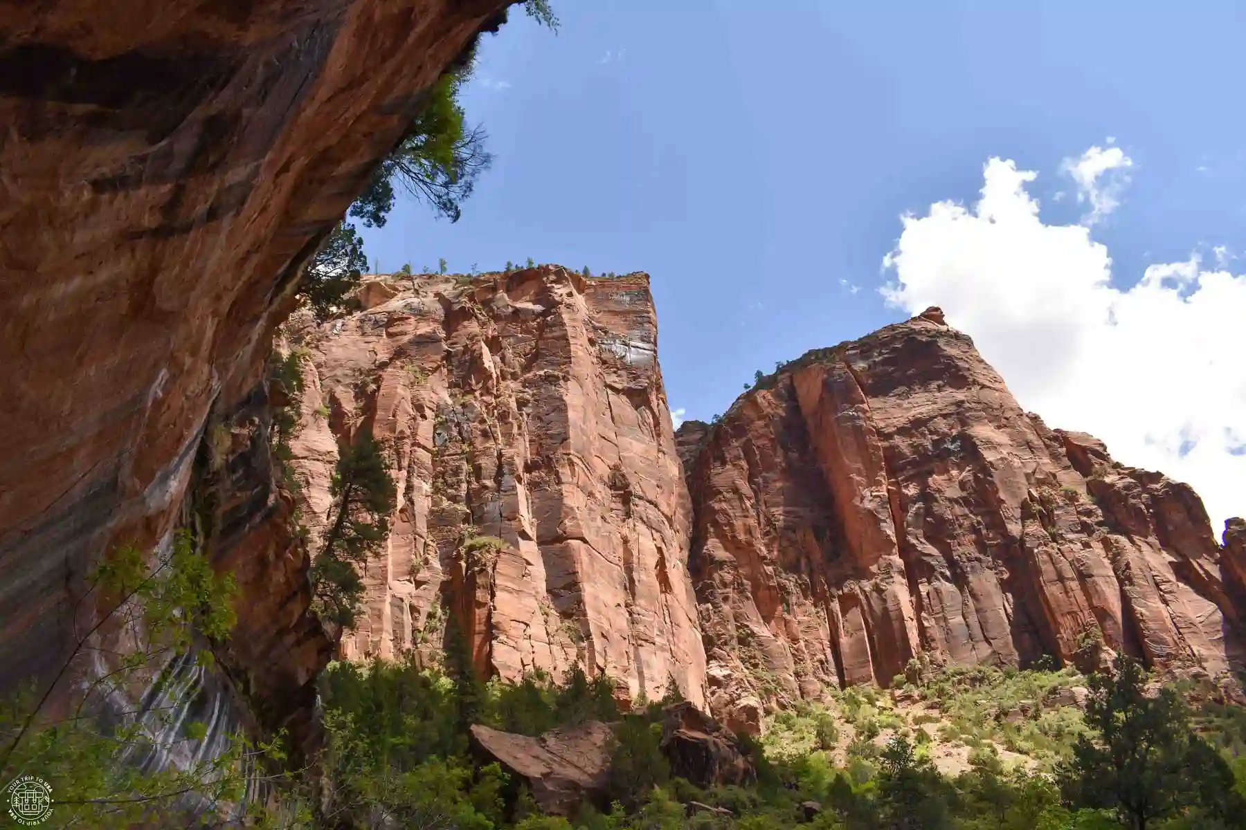 Emerald Pools, Zion National Park