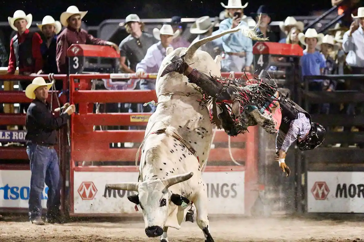Jackson Hole Rodeo