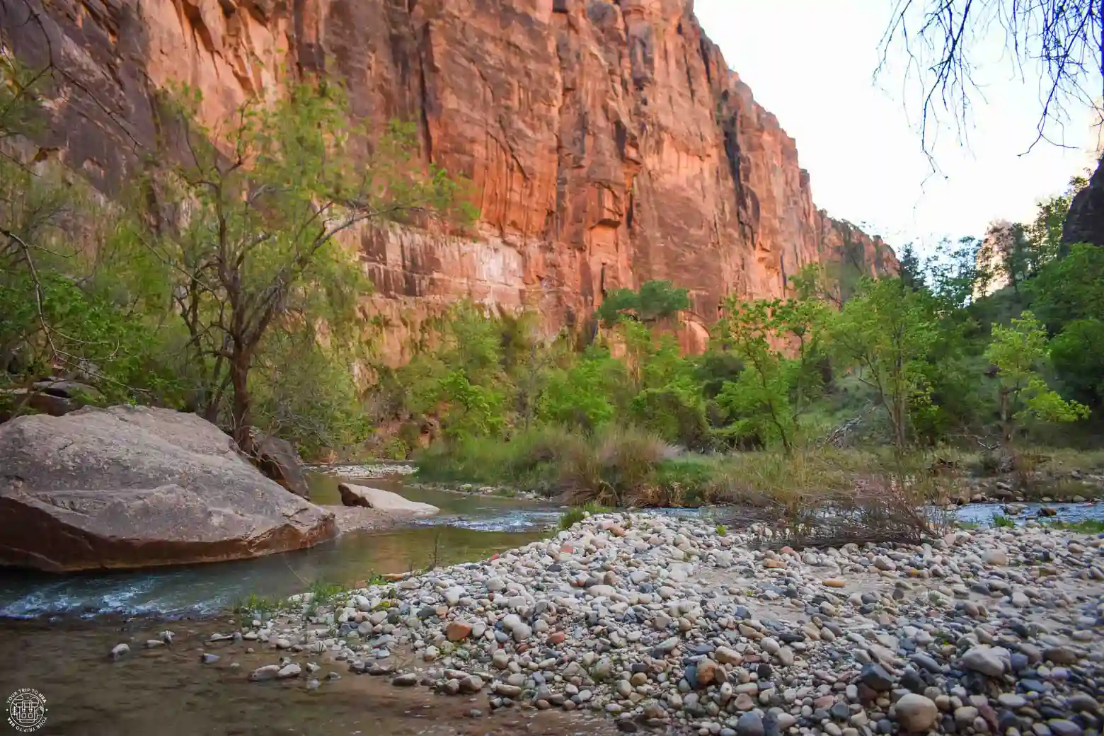Virgin River, Zion National Park