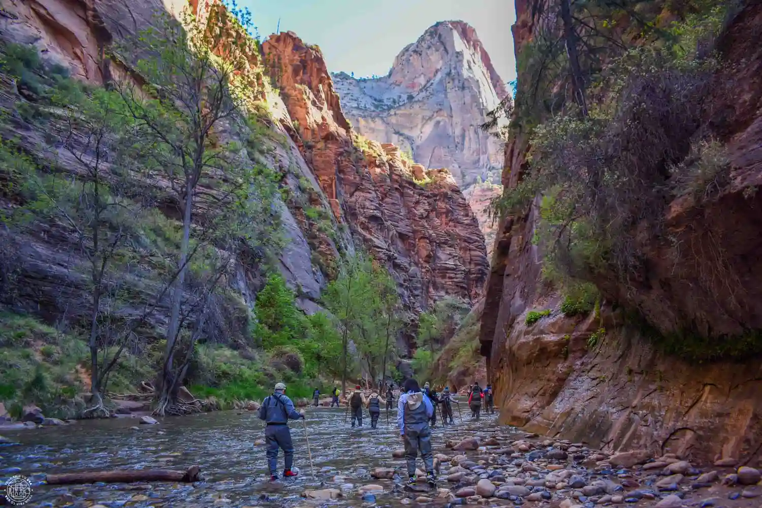 The Narrows, Zion National Park