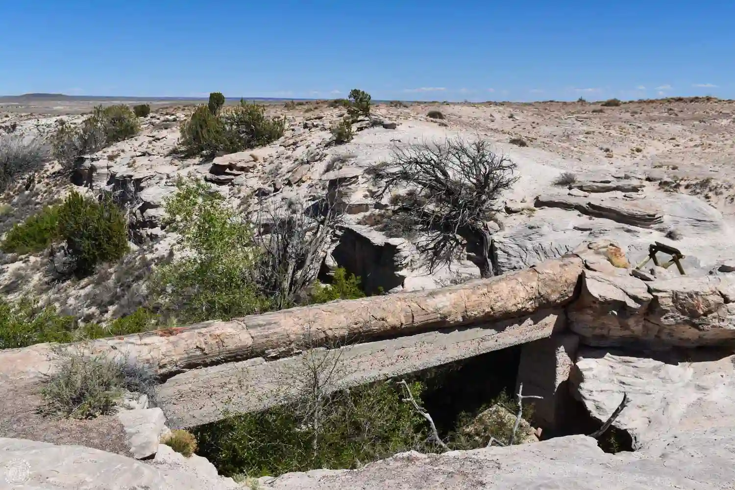 Agate Bridge, Petrified Forest