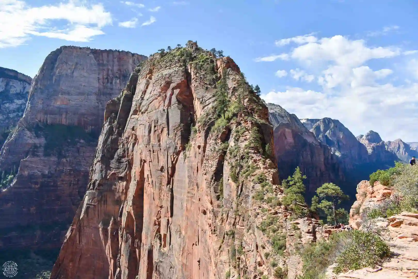 Vista panorámica del sendero a Angels Landing