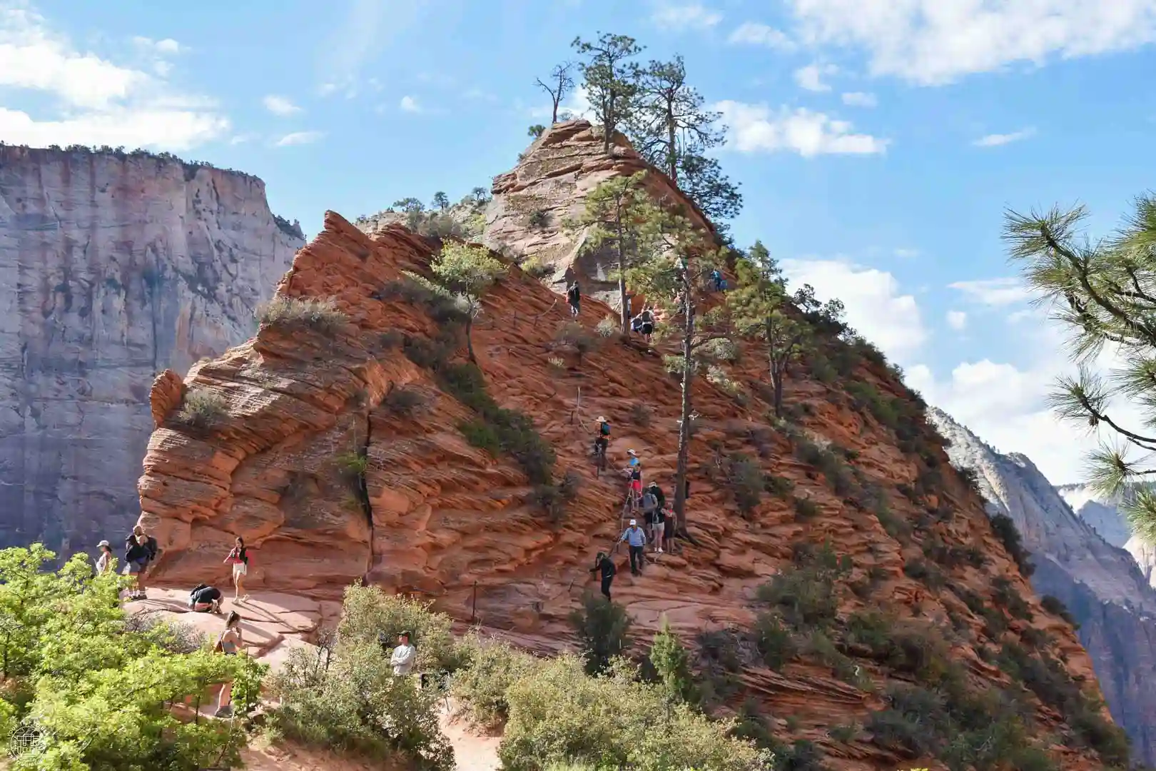 Sendero a Angels Landing, Zion National Park