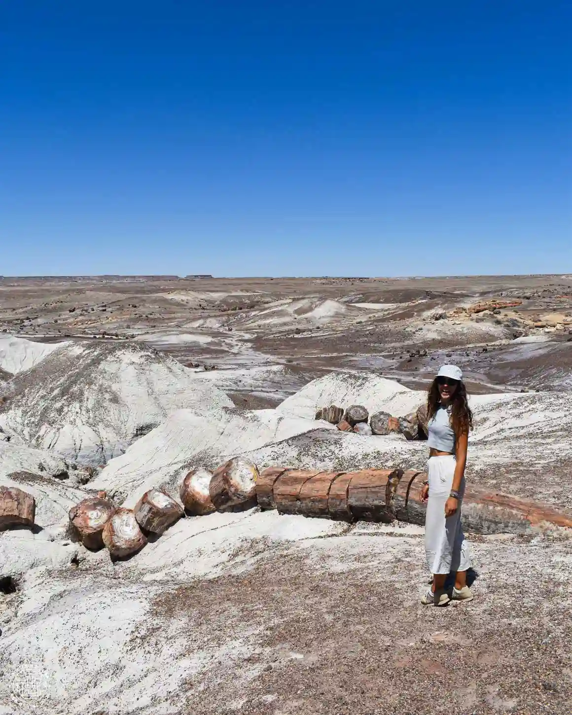 Petrified Forest, Arizona