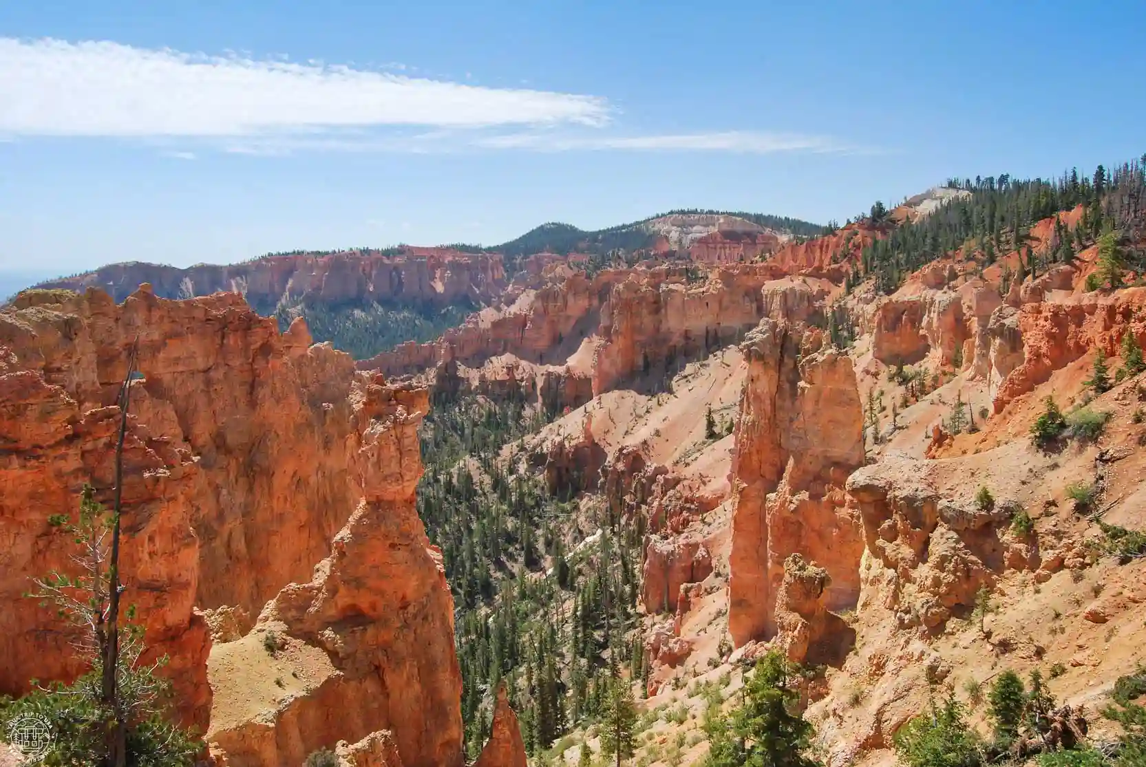 Black Birch Canyon, Bryce Canyon