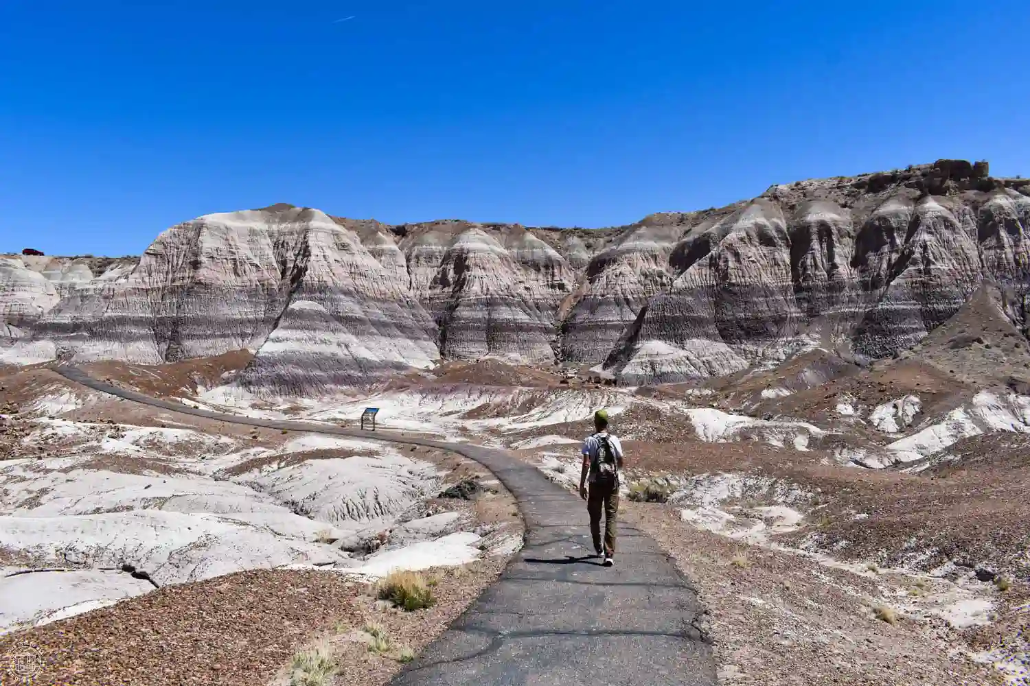 Blue Mesa Trail, Petrified Forest