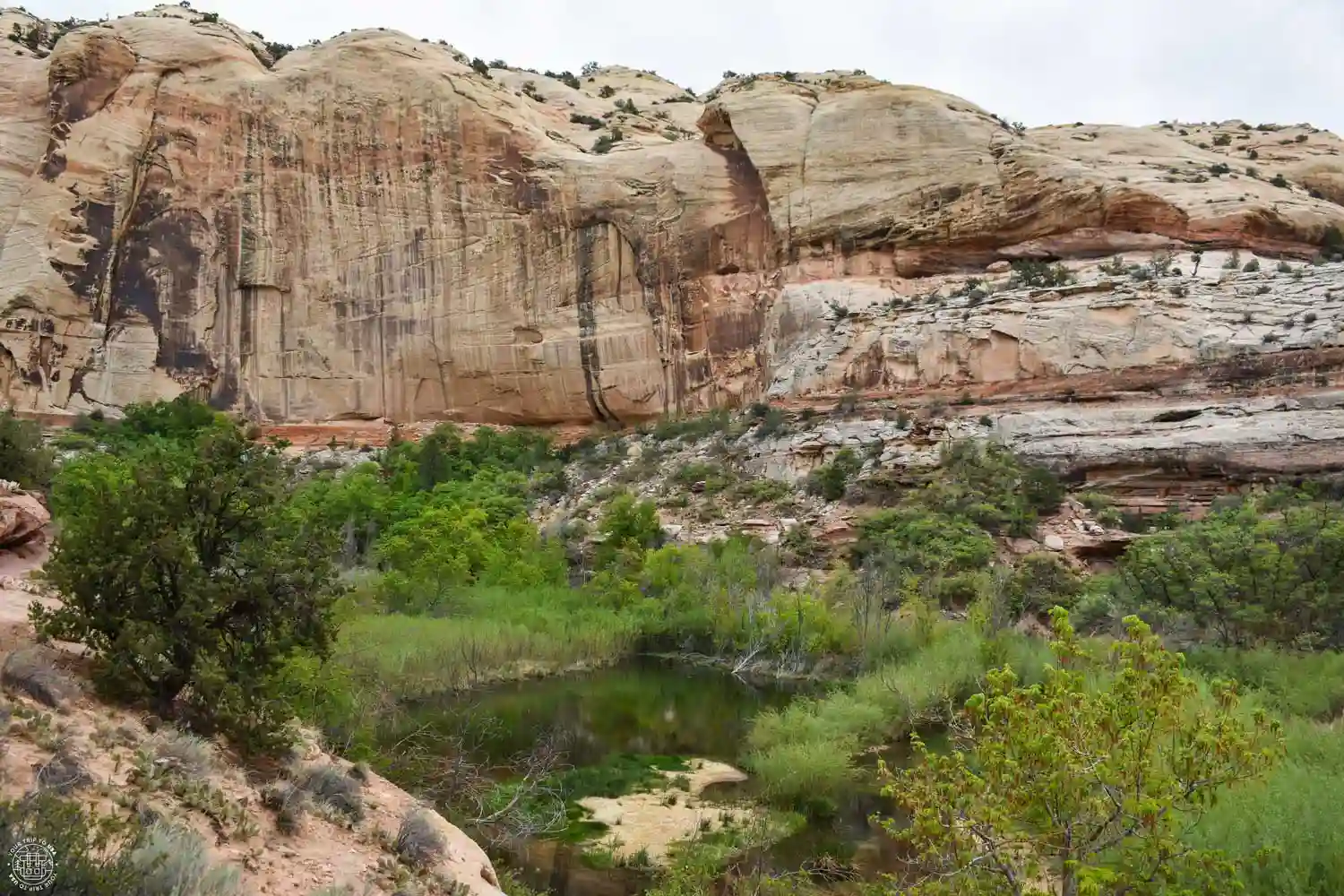 Lower Calf Creek, Escalante