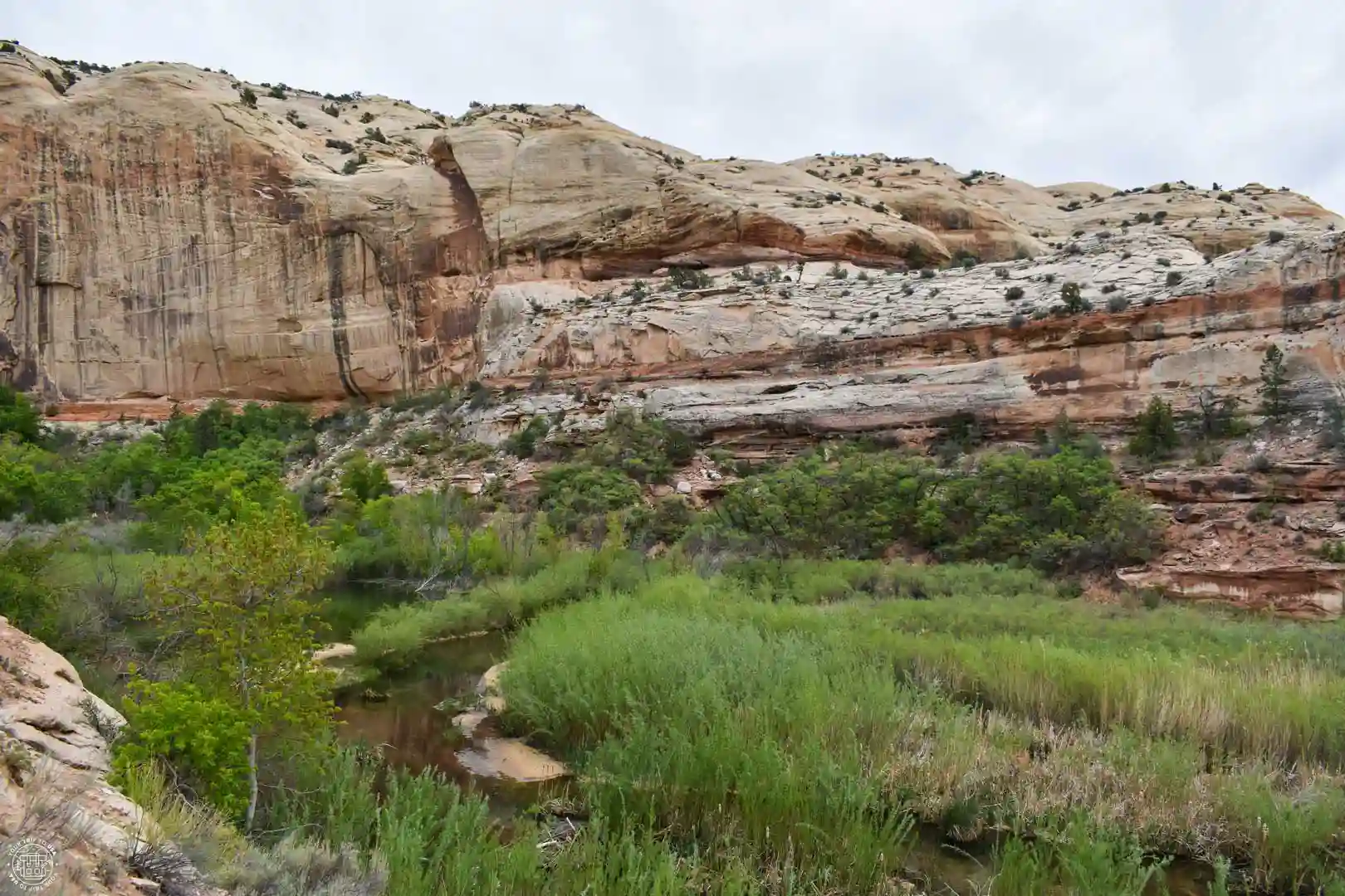 Lower Calf Creek, Escalante