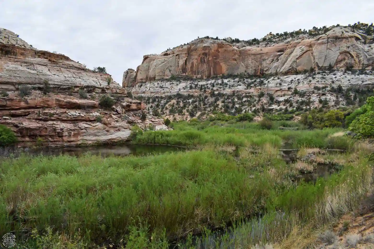 Lower Calf Creek, Escalante
