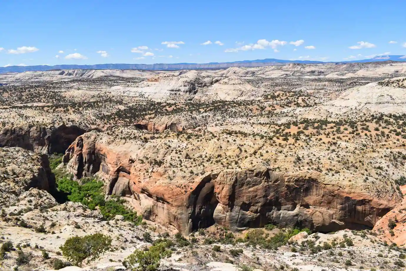 Calf Creek Viewpoint, Scenic Byway 12