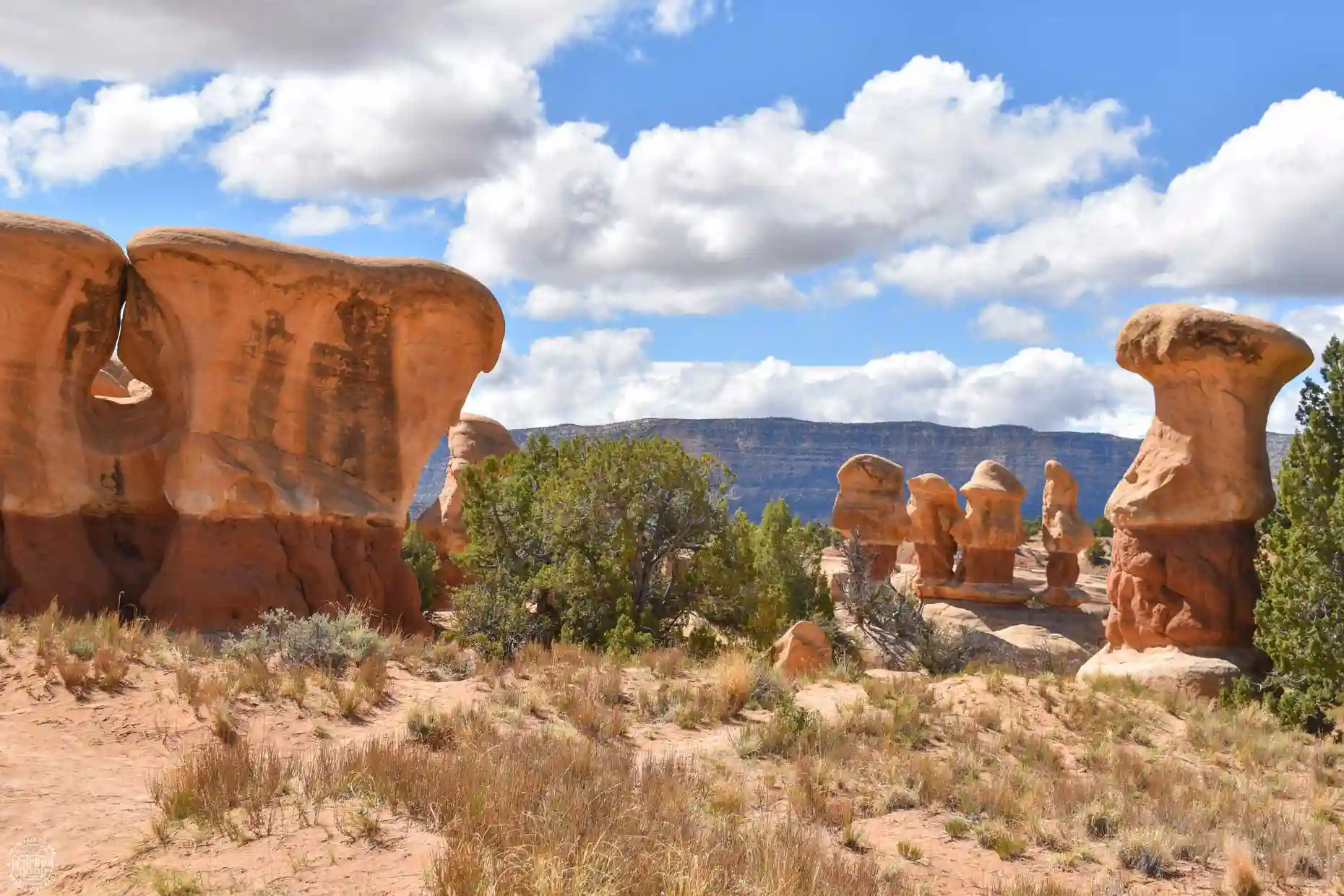 Devil's Garden, Escalante