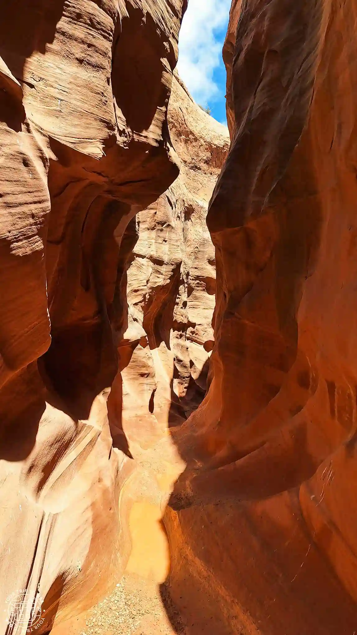 Dry Fork Narrows, Escalante
