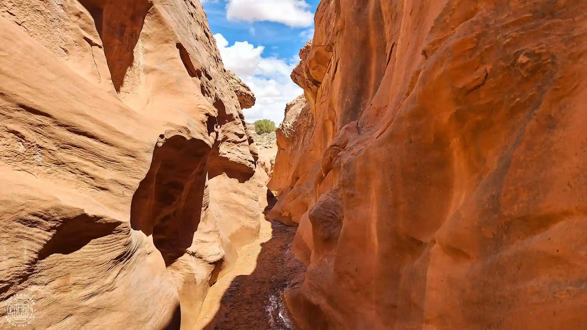 Dry Fork Trail, Escalante