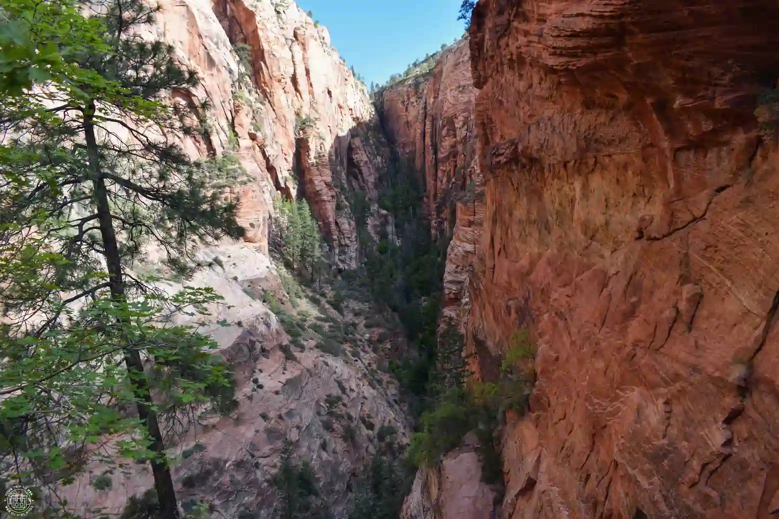 Refrigerator Canyon, Zion National Park