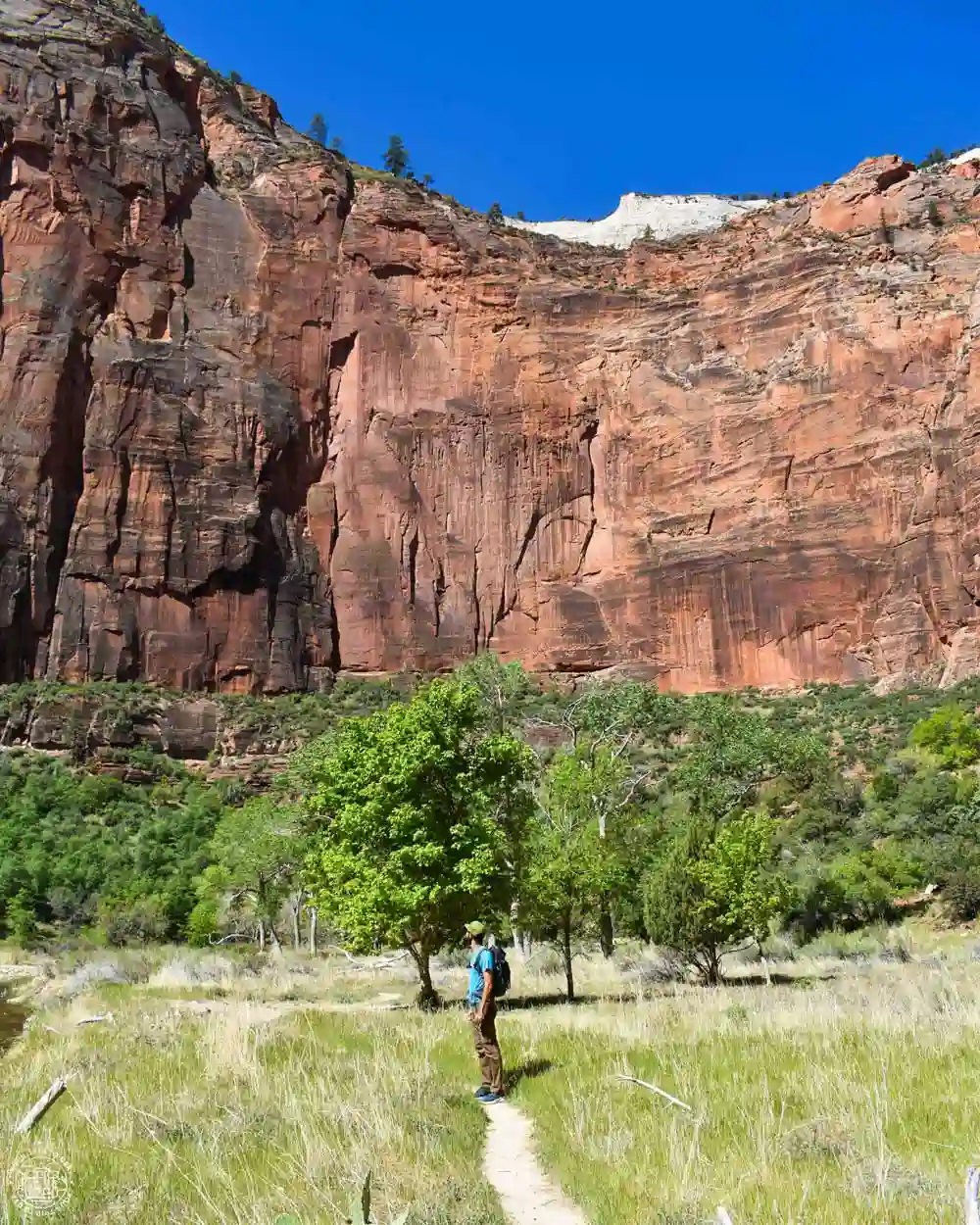 Senderismo en Zion National Park