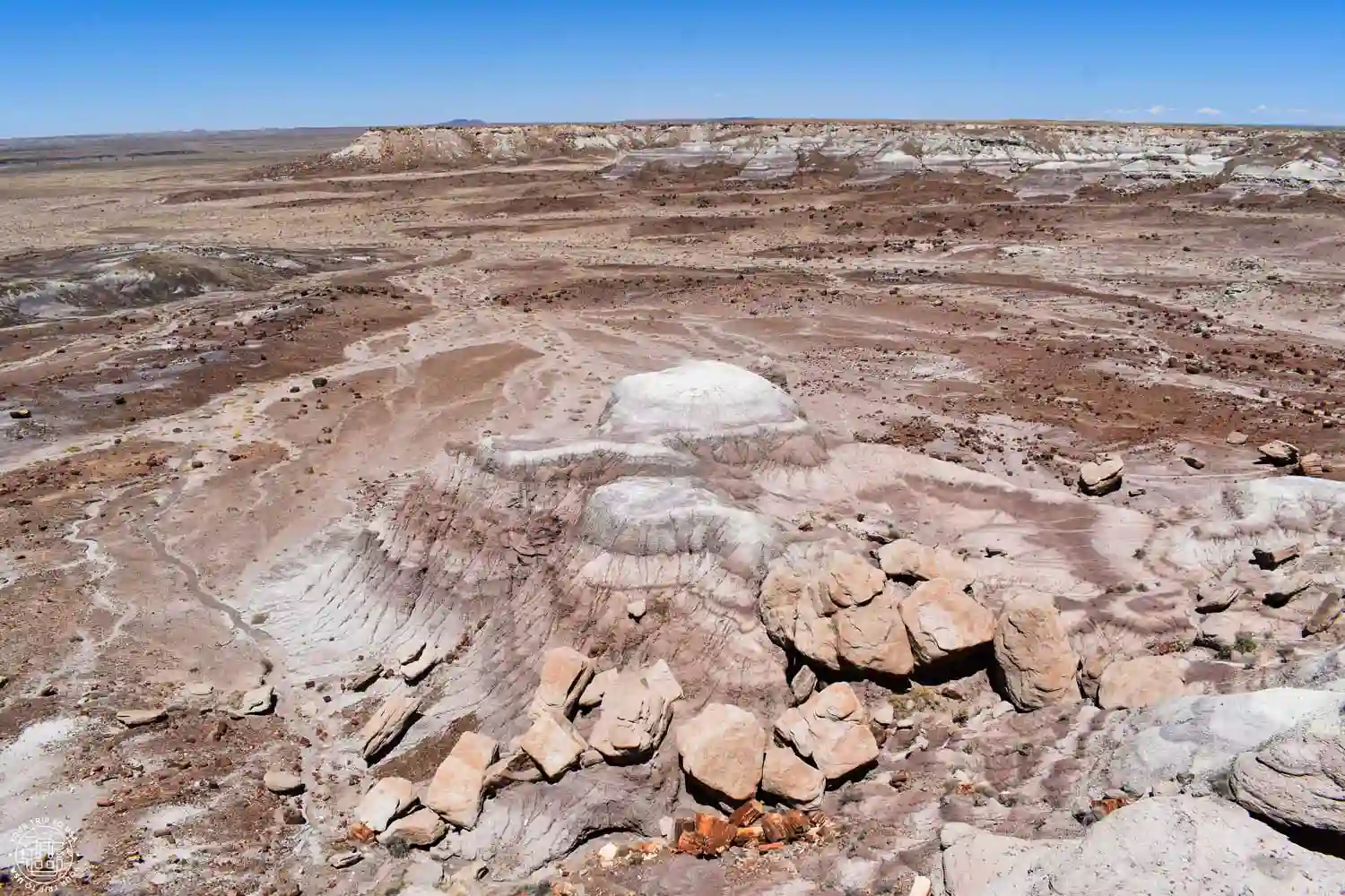 Madera petrificada en el Jasper Forest