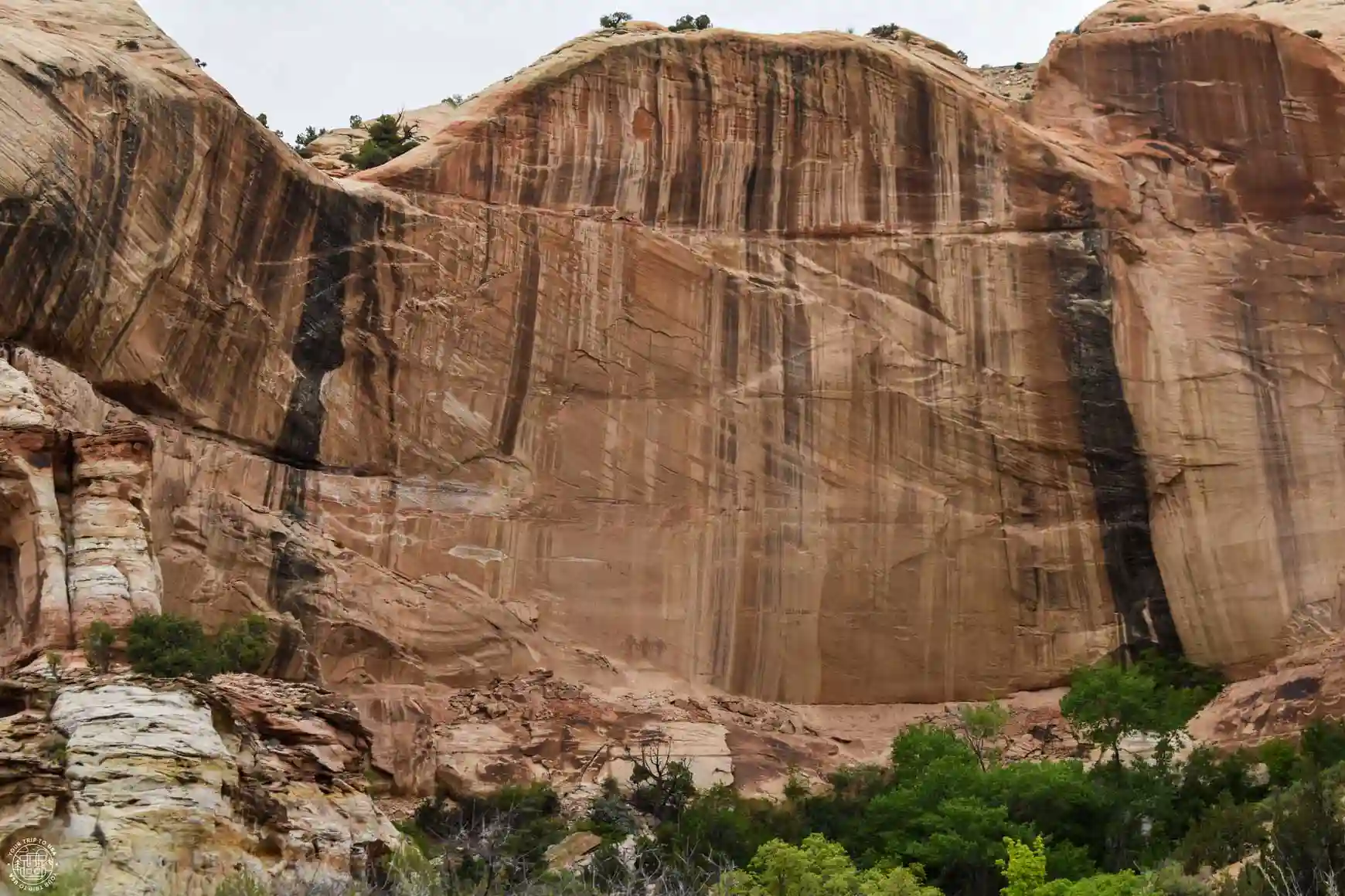 Barniz del desierto, Escalante