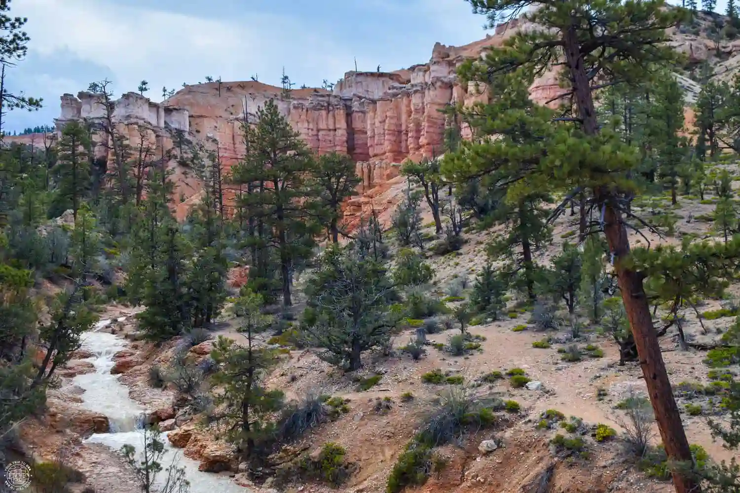 Mossy Cave Trail, Bryce Canyon