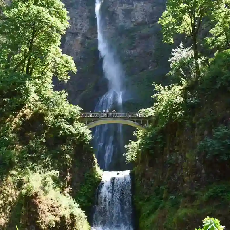 MULTNOMAH FALLS
