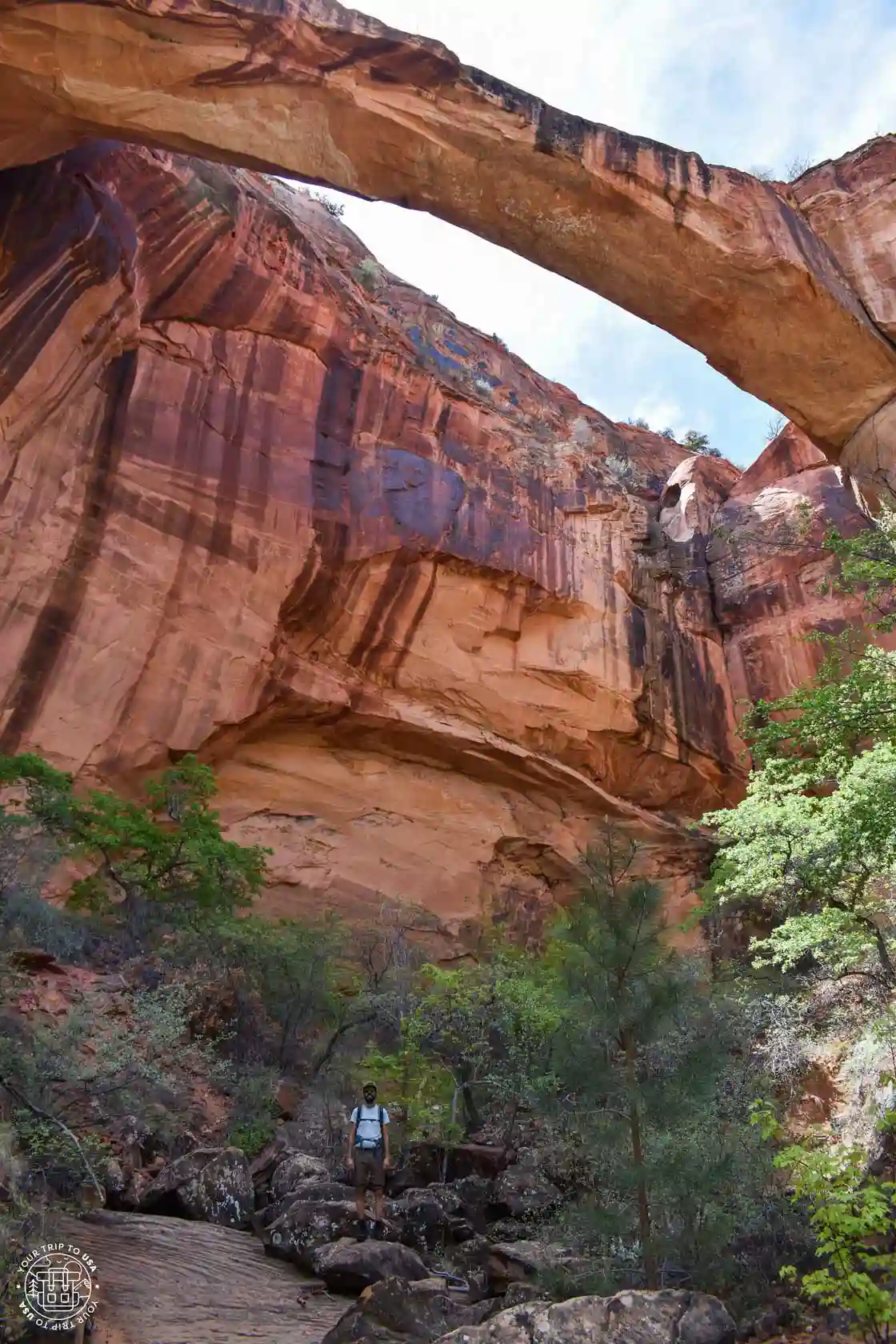 Escalante Natural Bridge