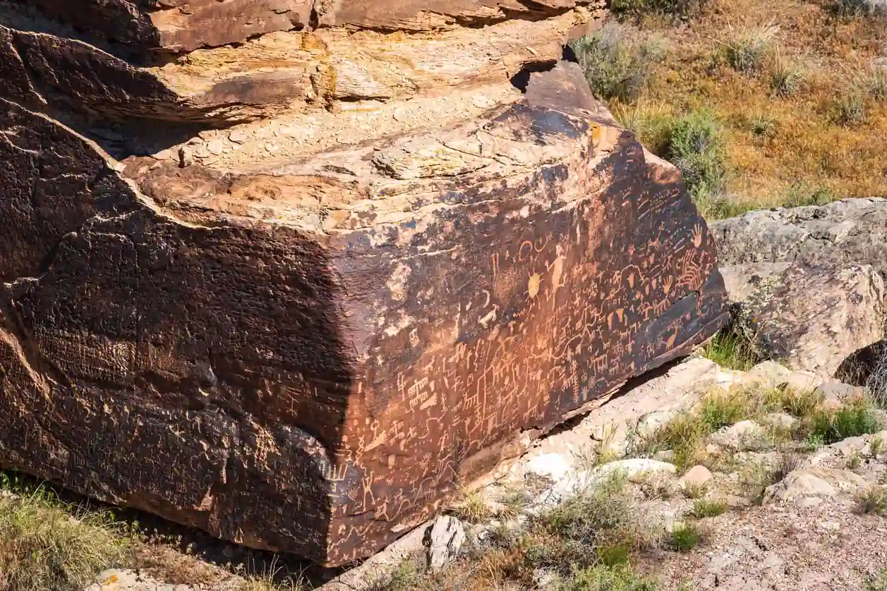 Newspaper Rock, Petrified Forest
