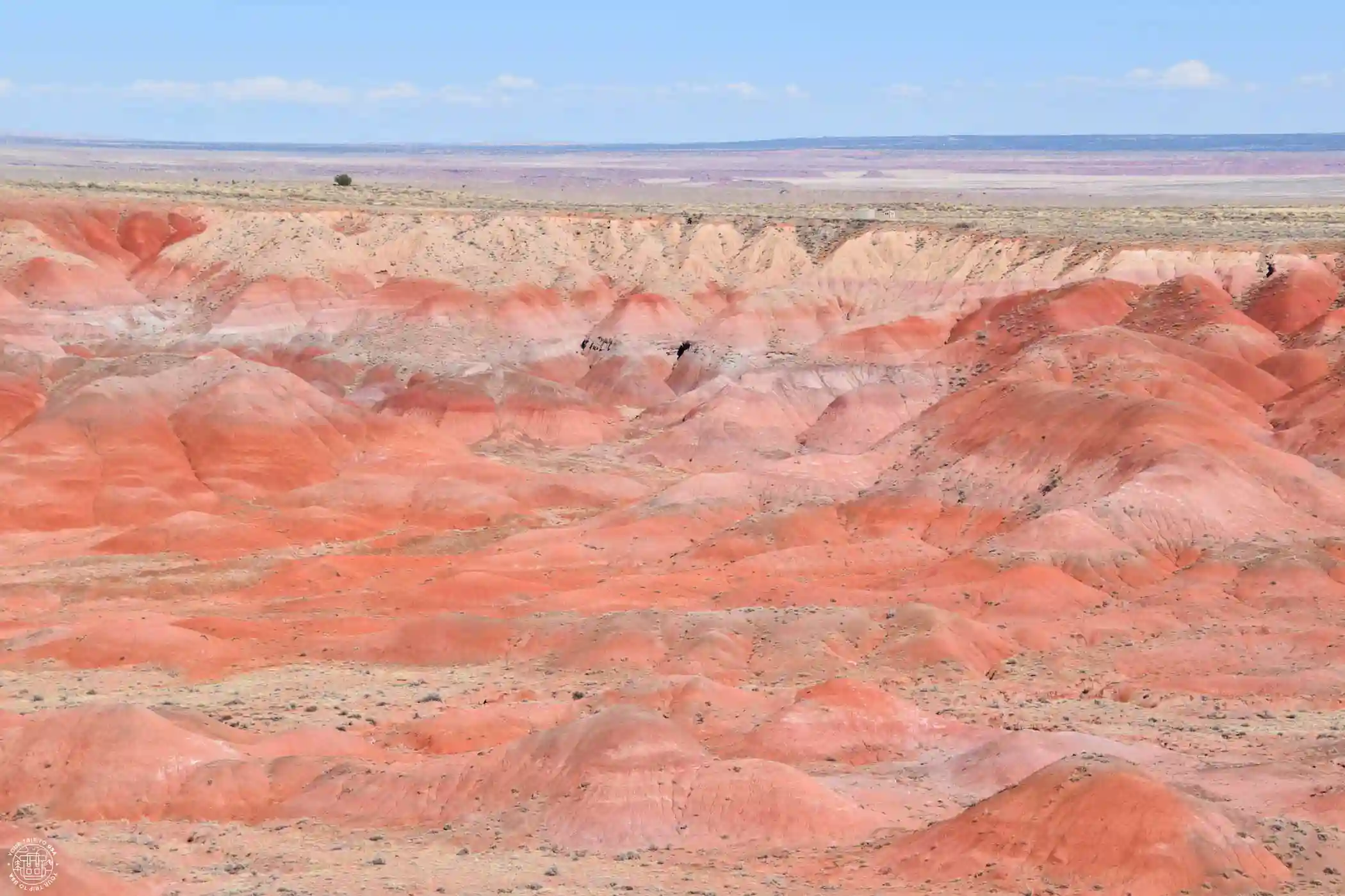 Painted Desert en Petrified Forest