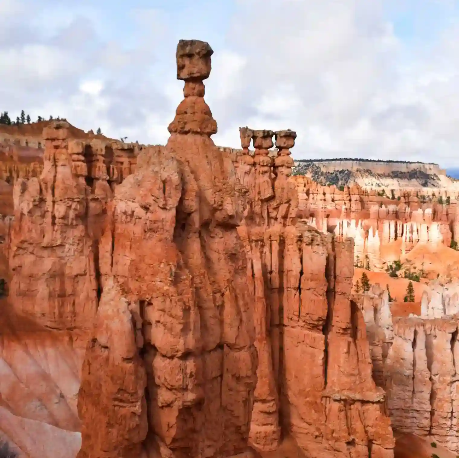 BRYCE